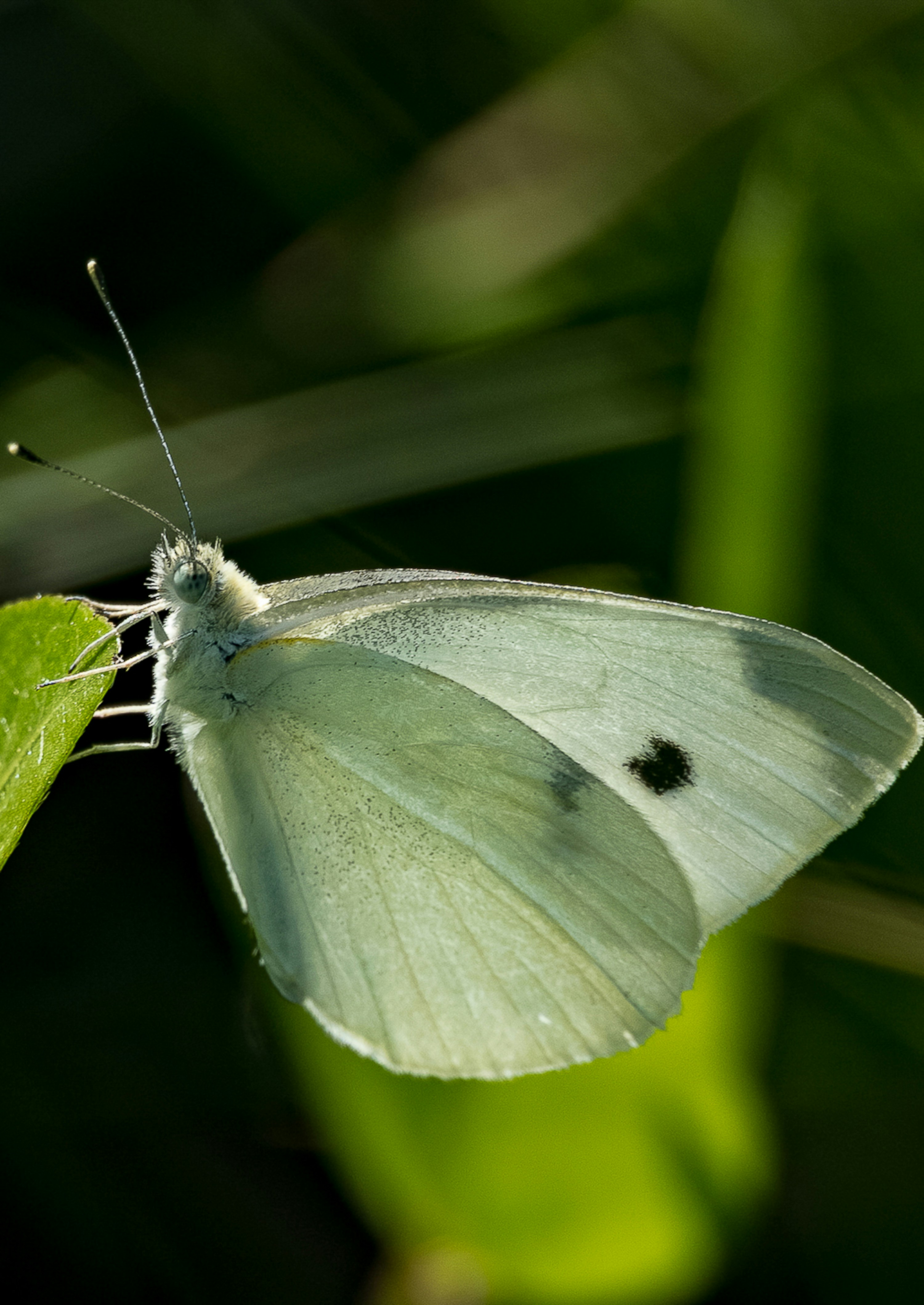 Photo by asphotographypics