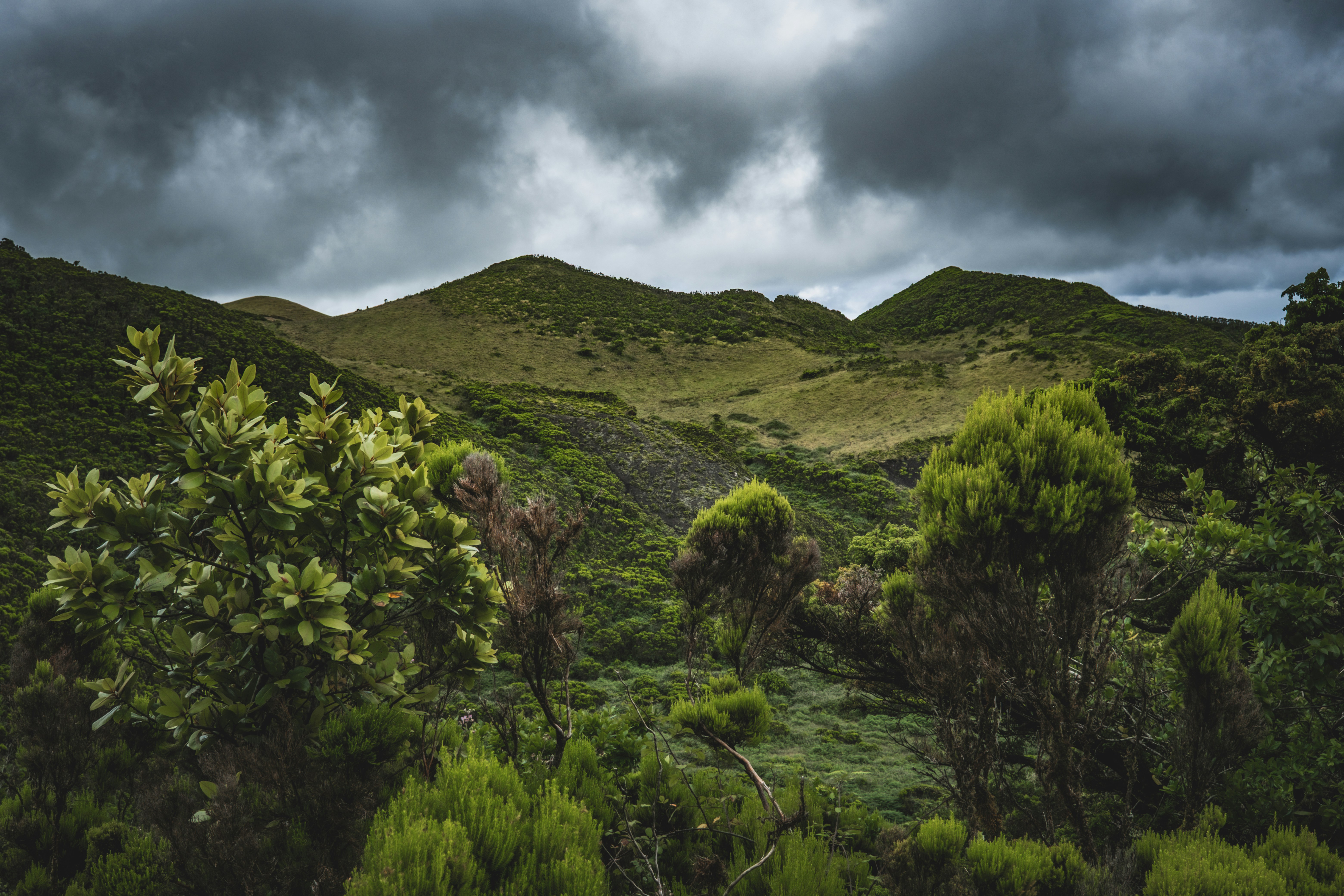 Photo by francesco_ungaro