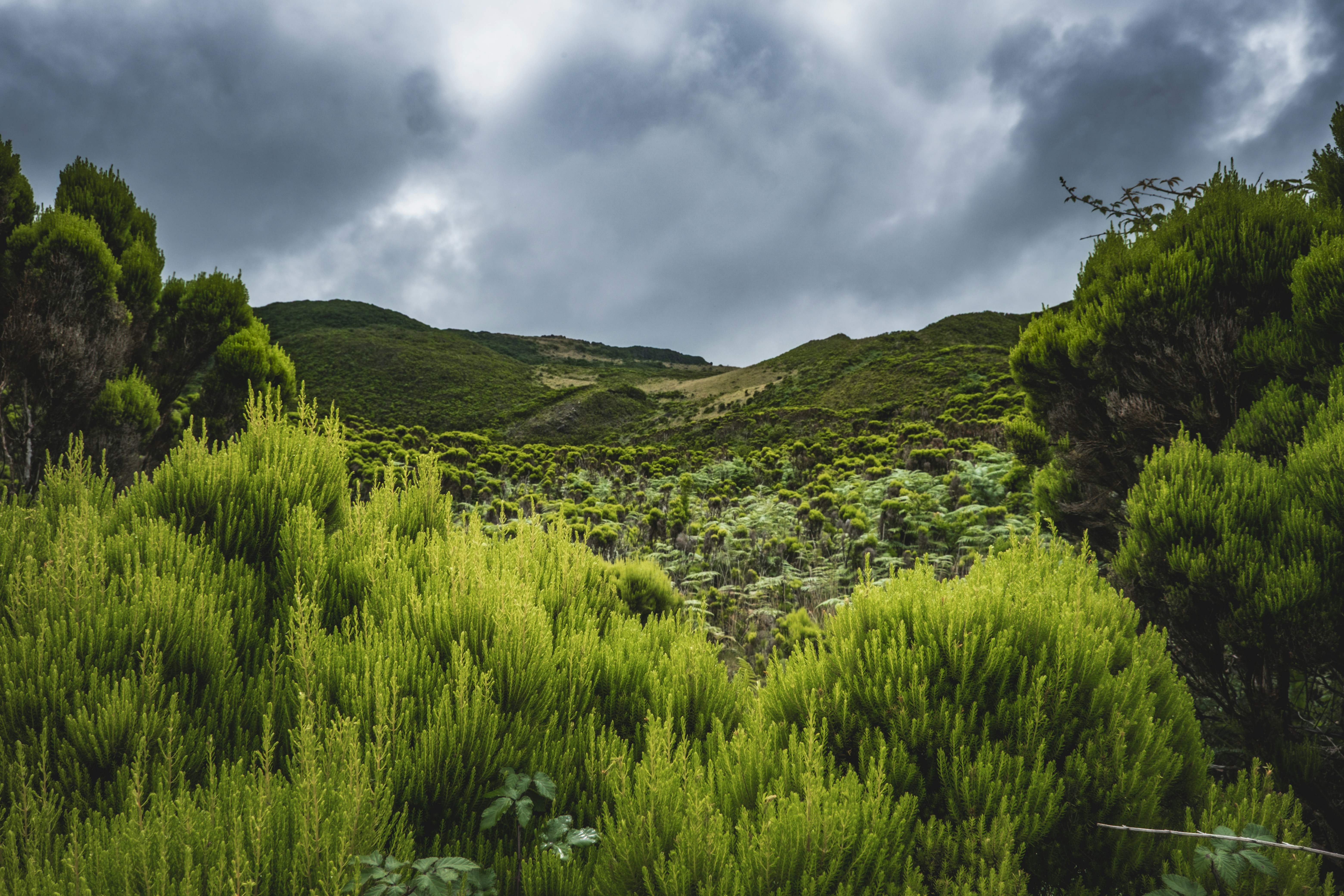 Photo by francesco_ungaro