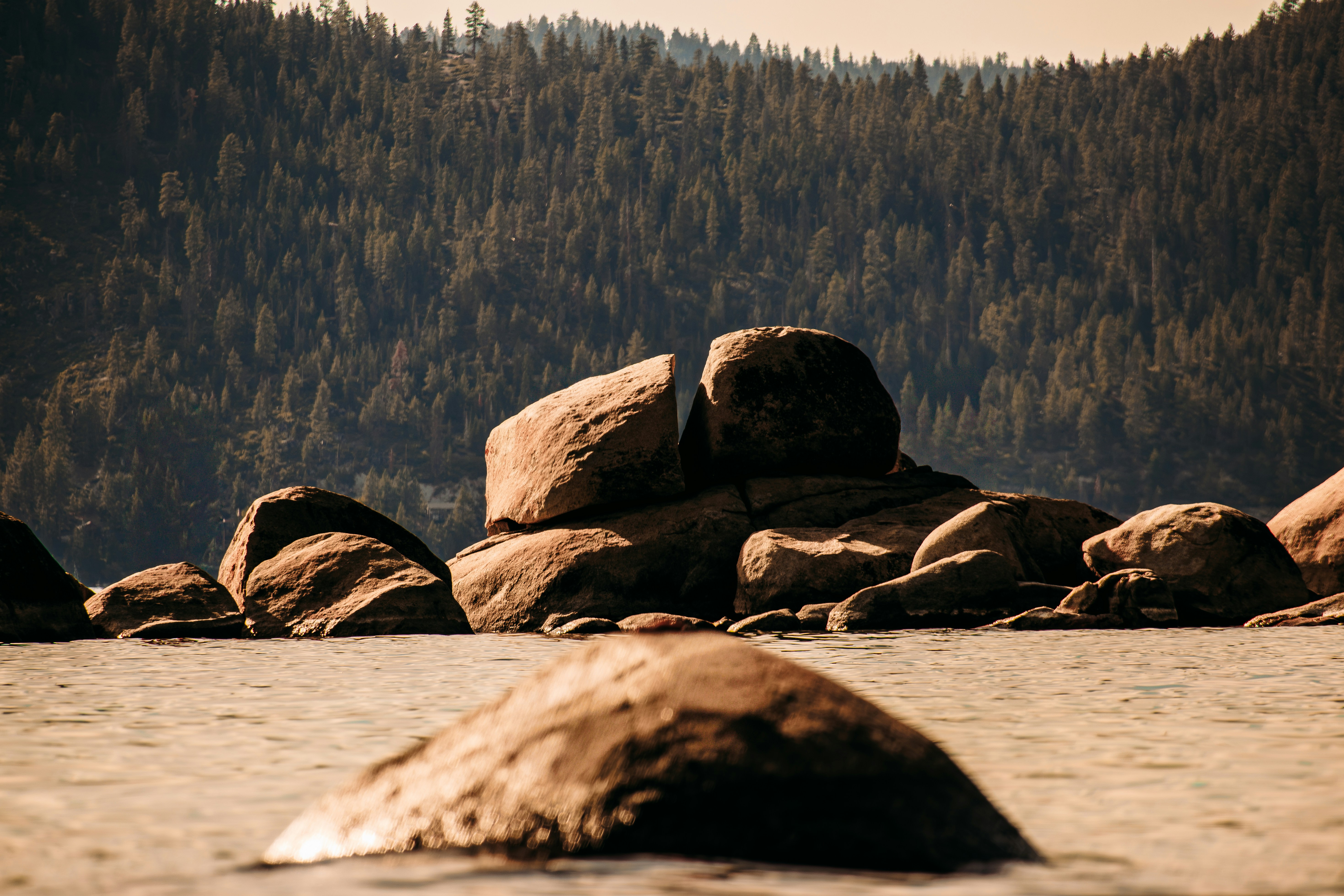 Photo by brice_cooper18