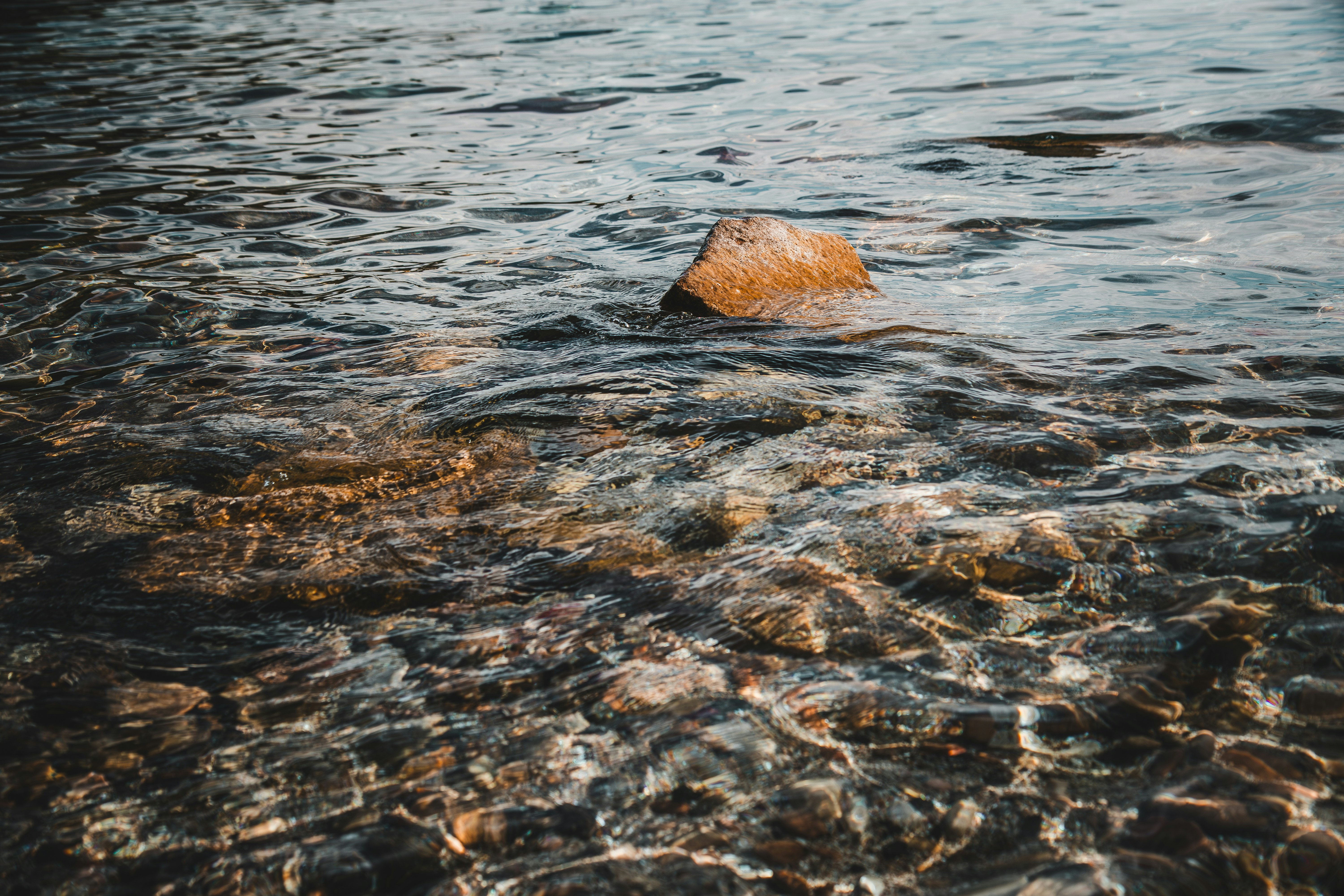 Photo by brice_cooper18