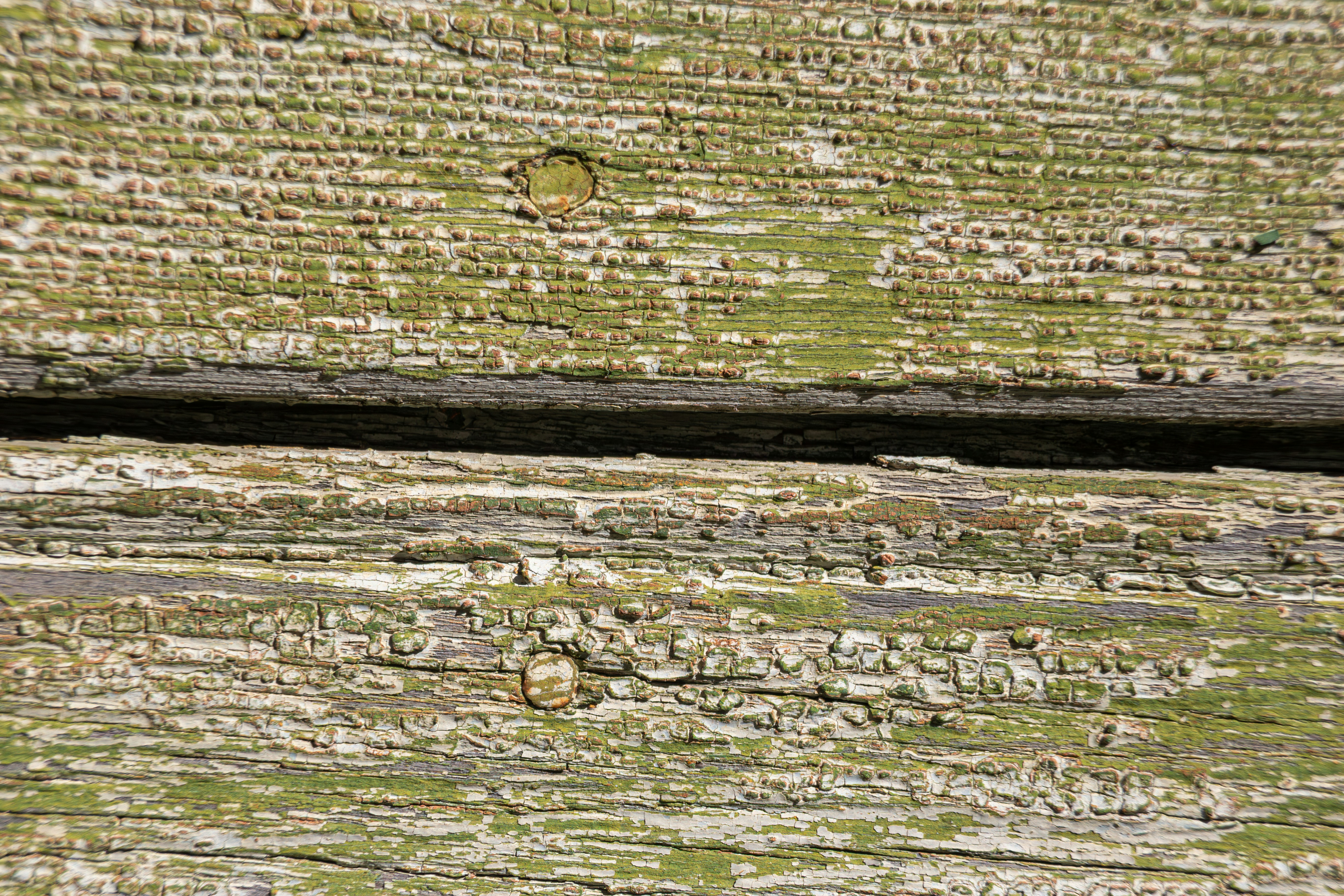 Weathered wood with peeling green paint