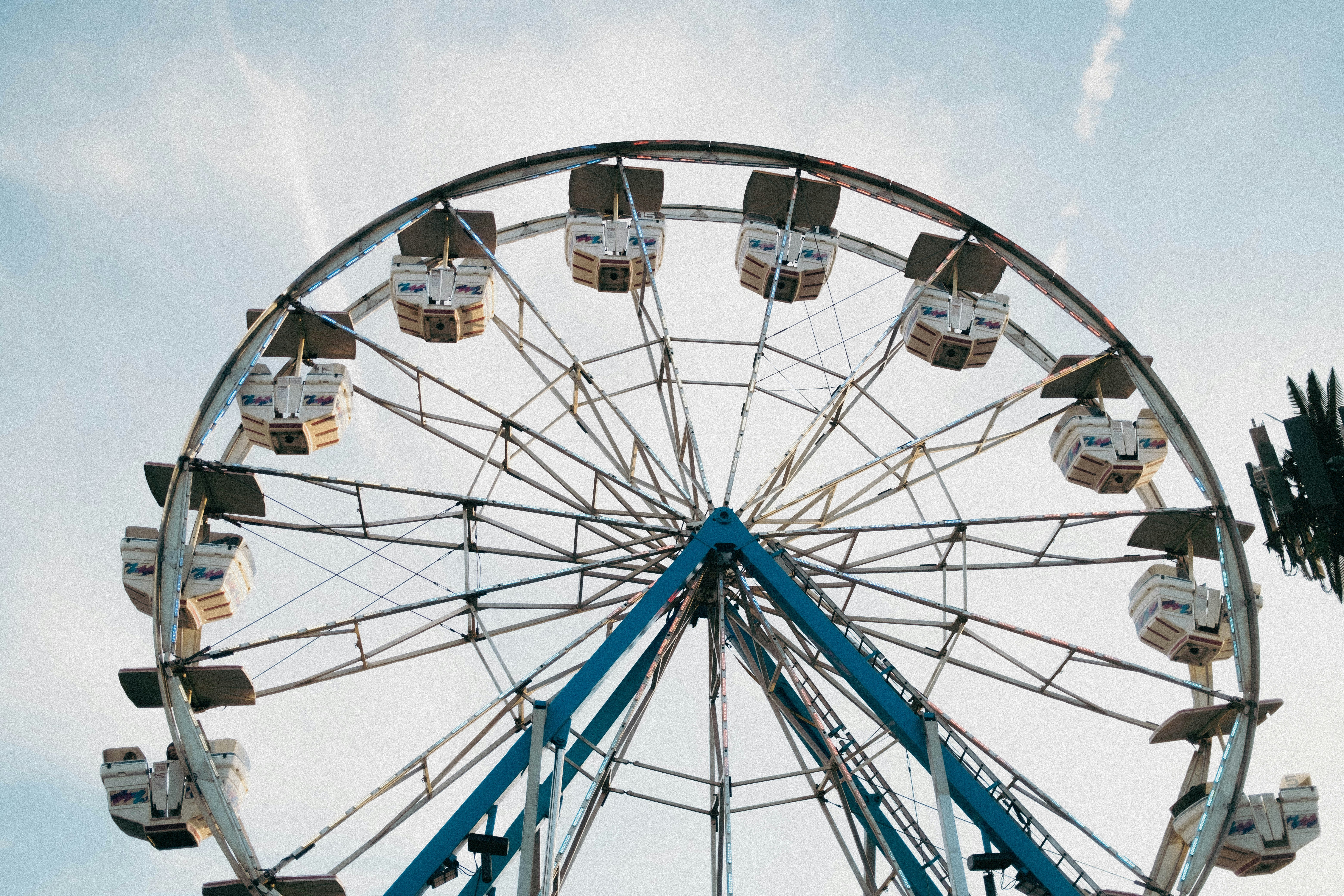 Photo by matthewpablico