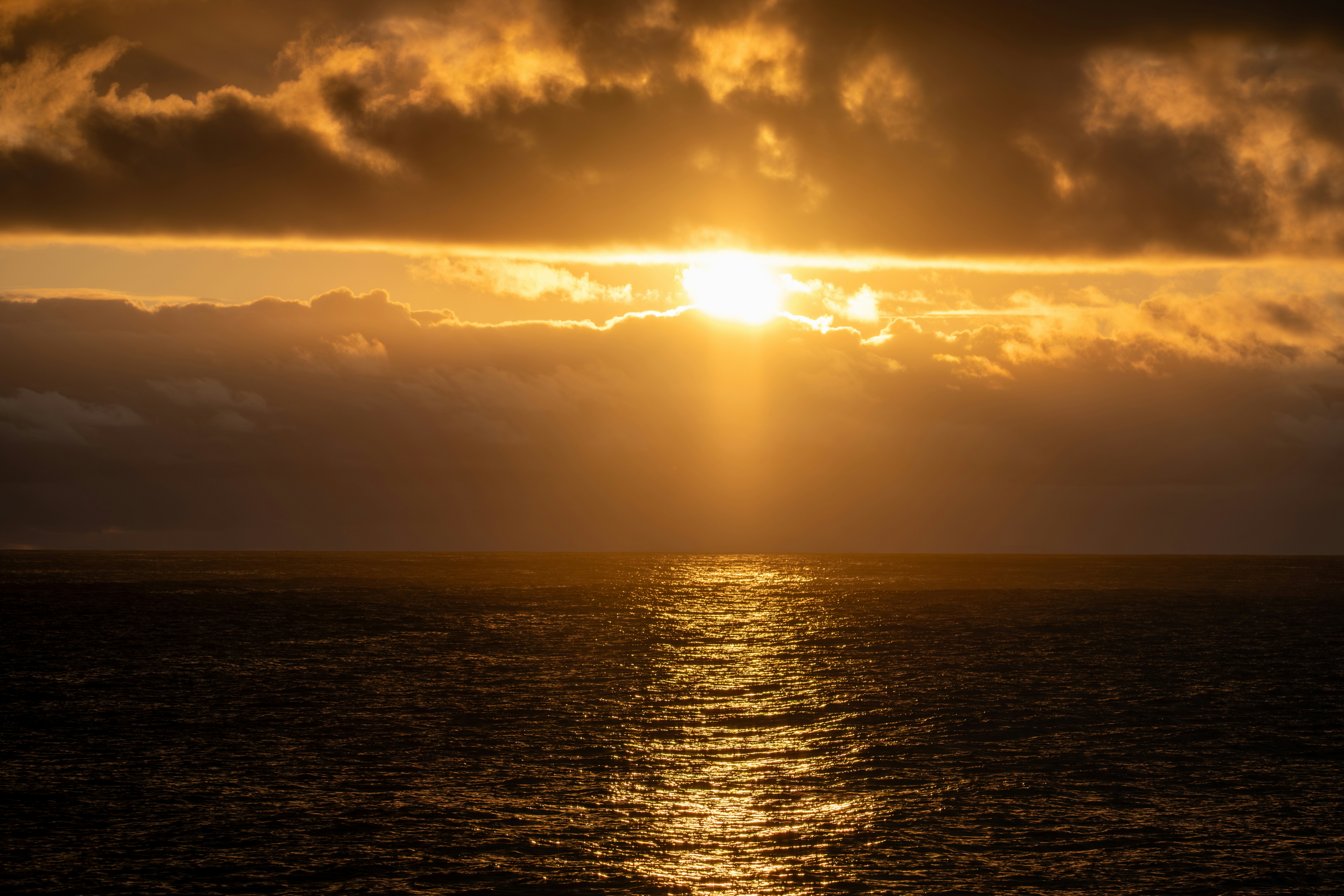 Photo by francesco_ungaro