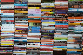 Many colorful books stacked neatly on shelves