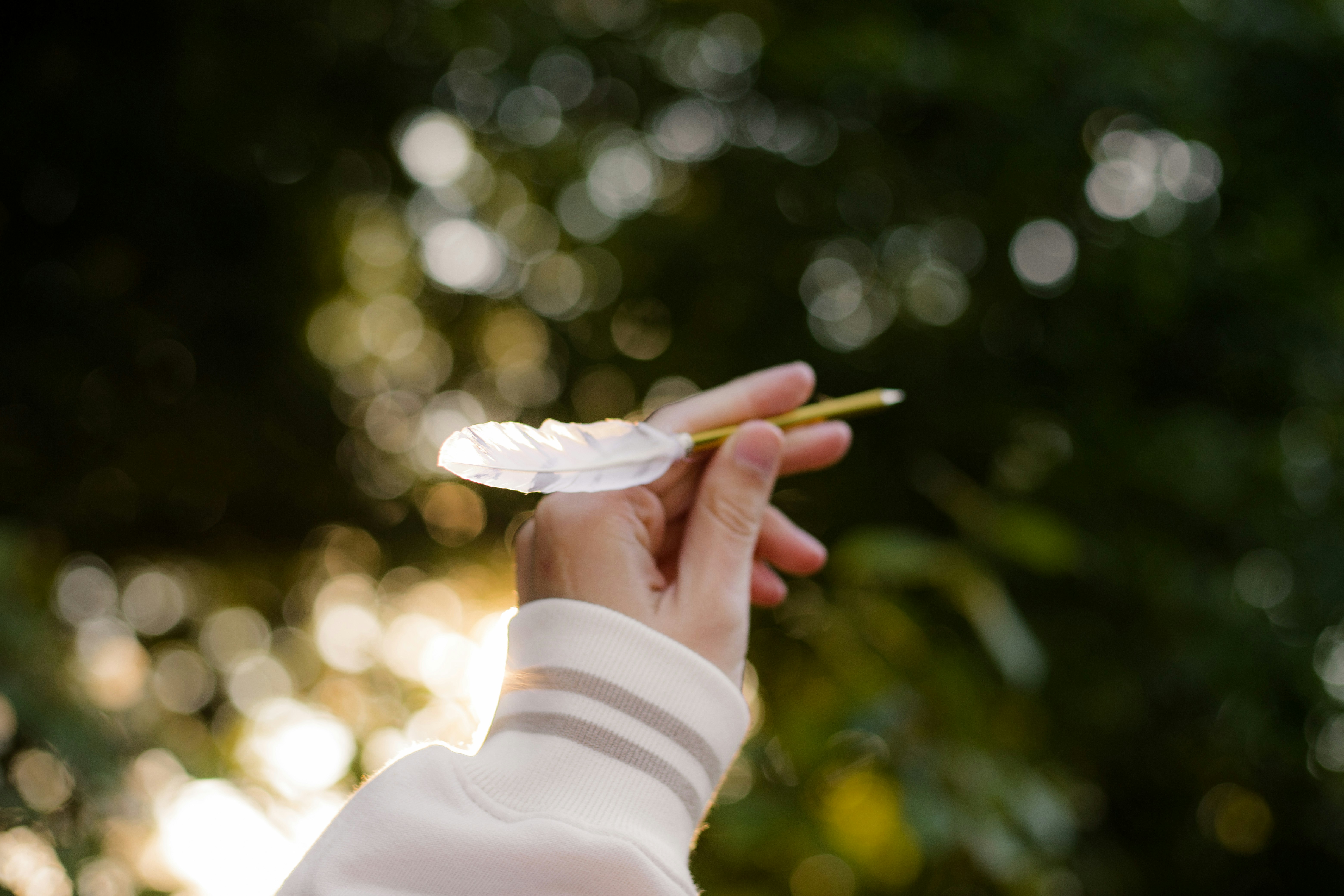 Mano che tiene una piuma bianca su sfondo verde sfocato