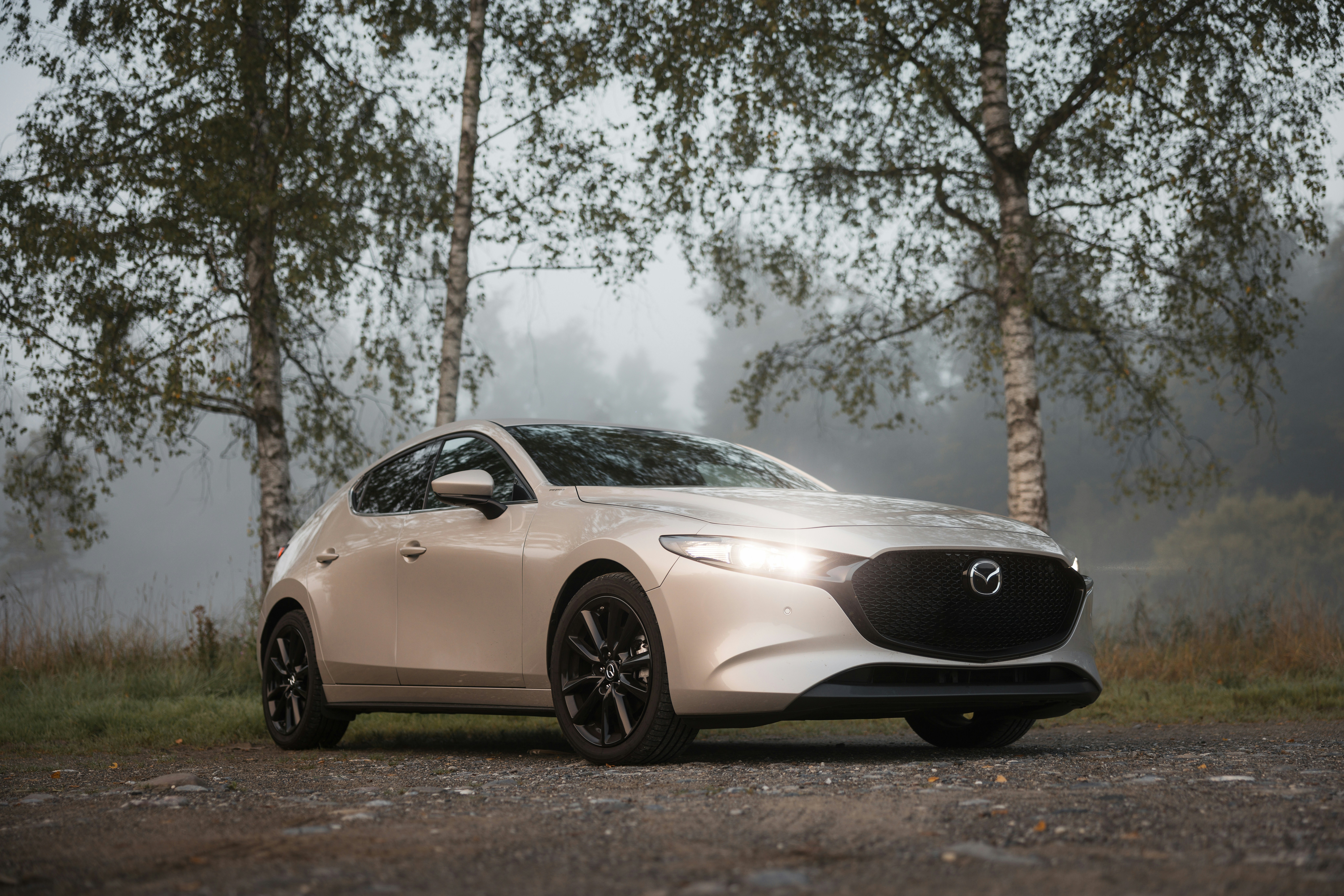 A beige hatchback parked on a dirt road with trees.