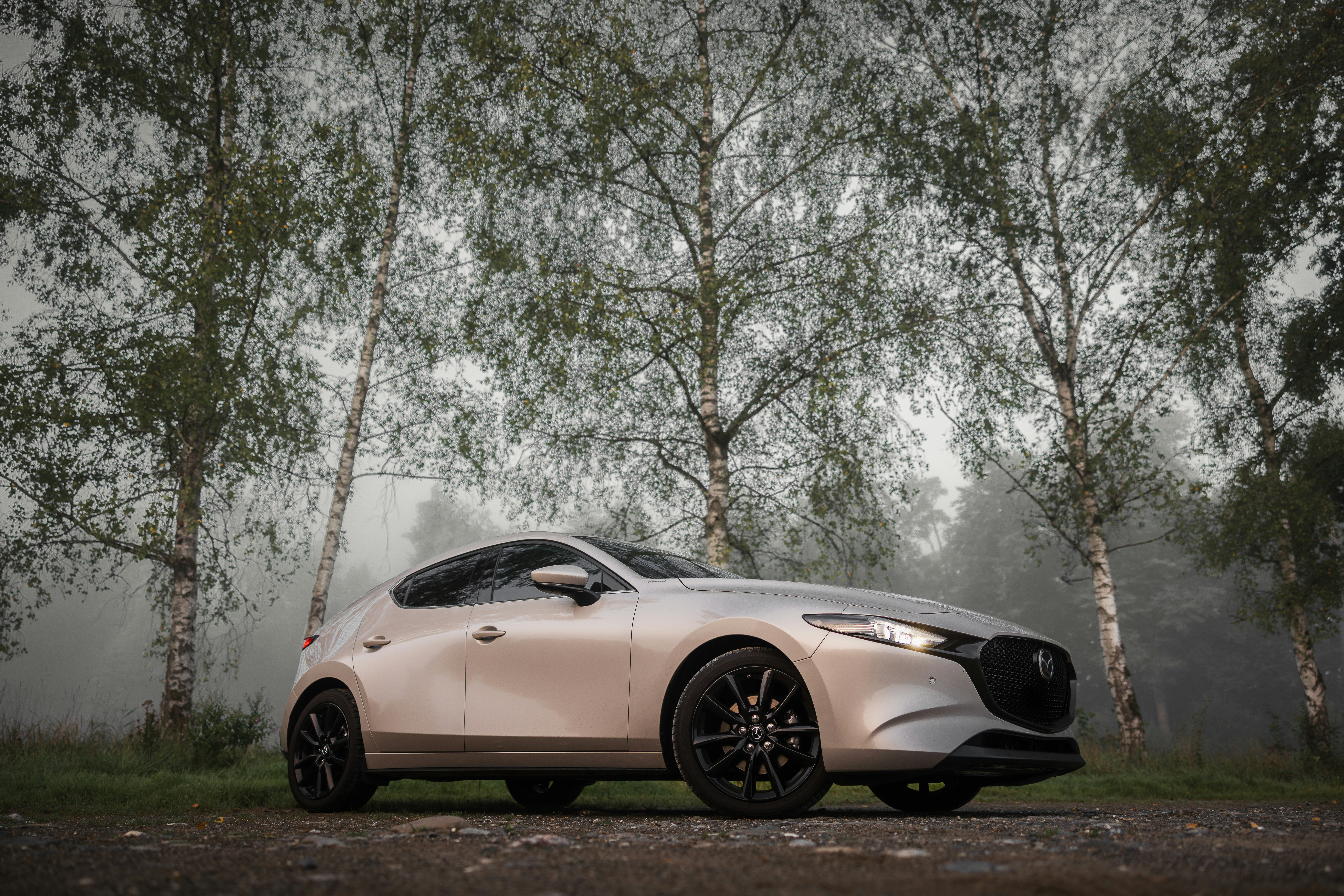Silver hatchback parked on a dirt road with trees.