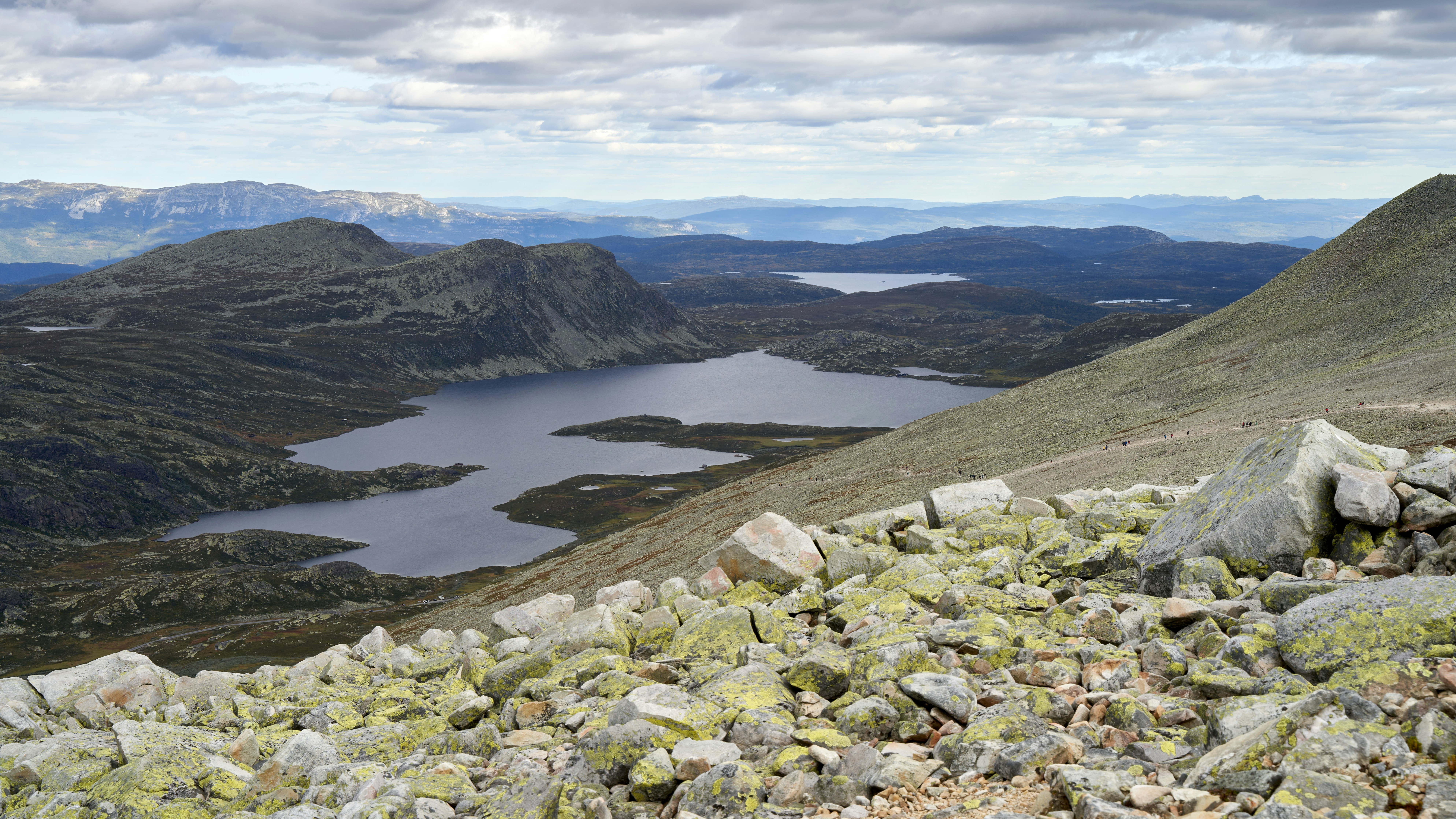 Photo by davotibarna