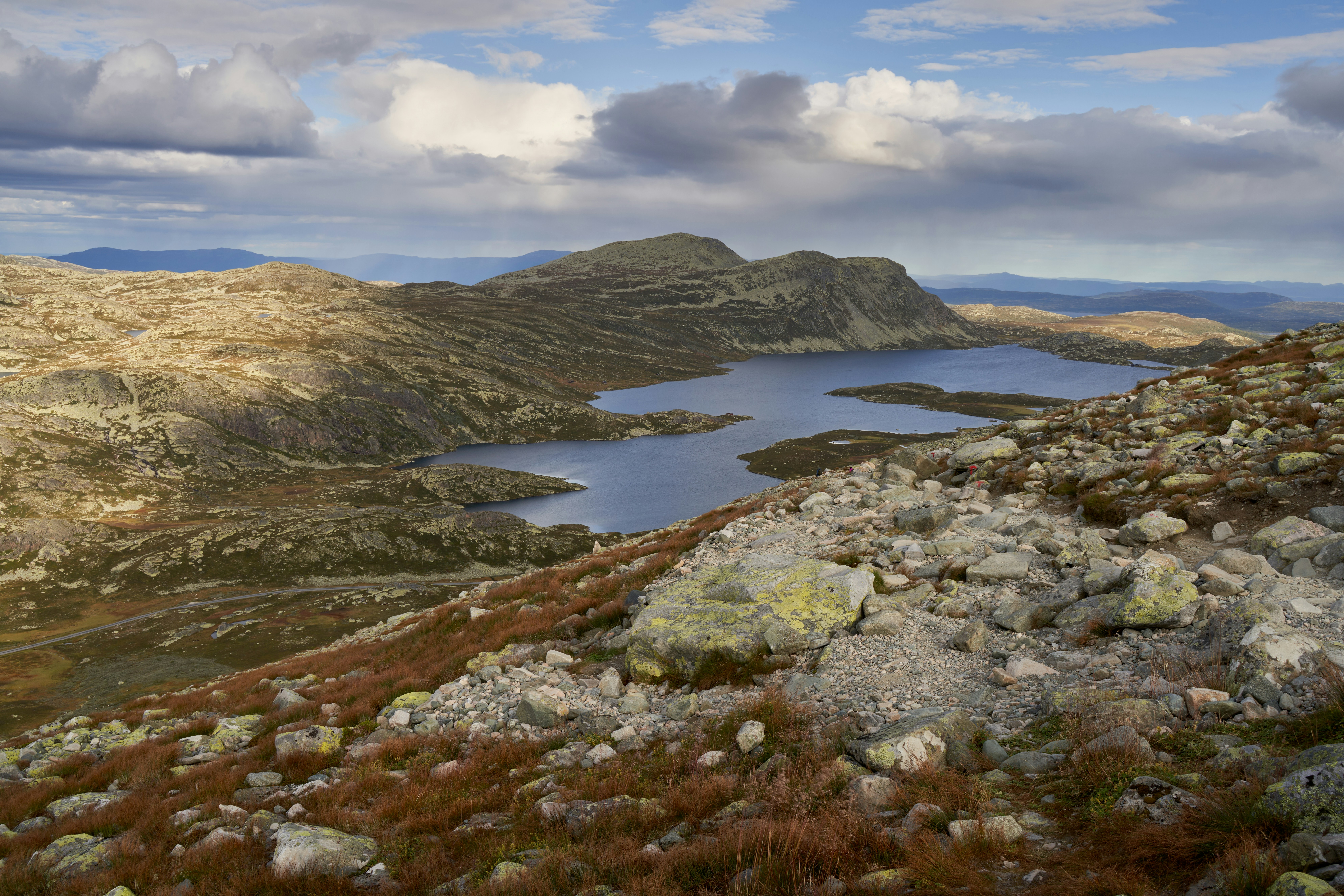 Photo by davotibarna