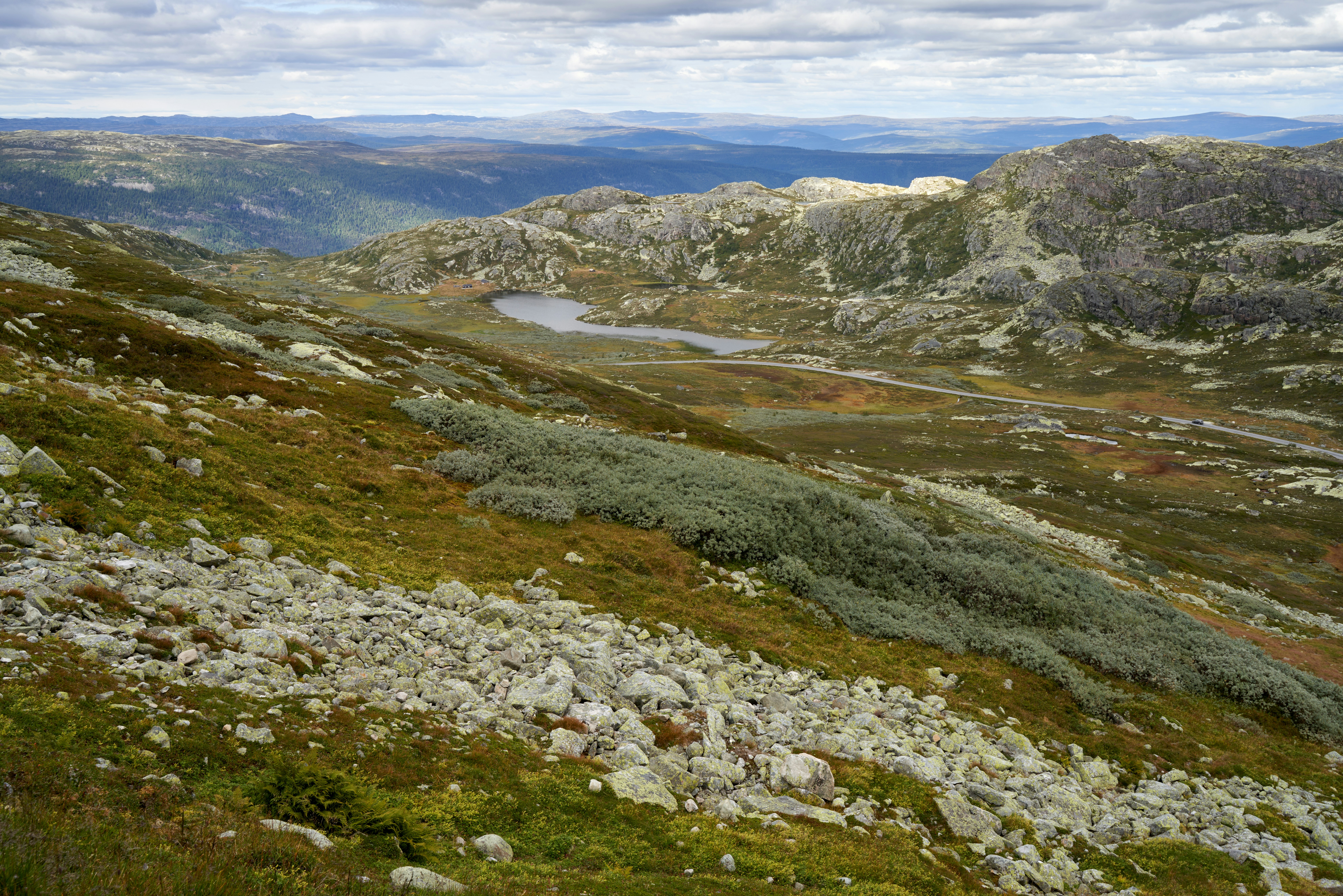 Photo by davotibarna