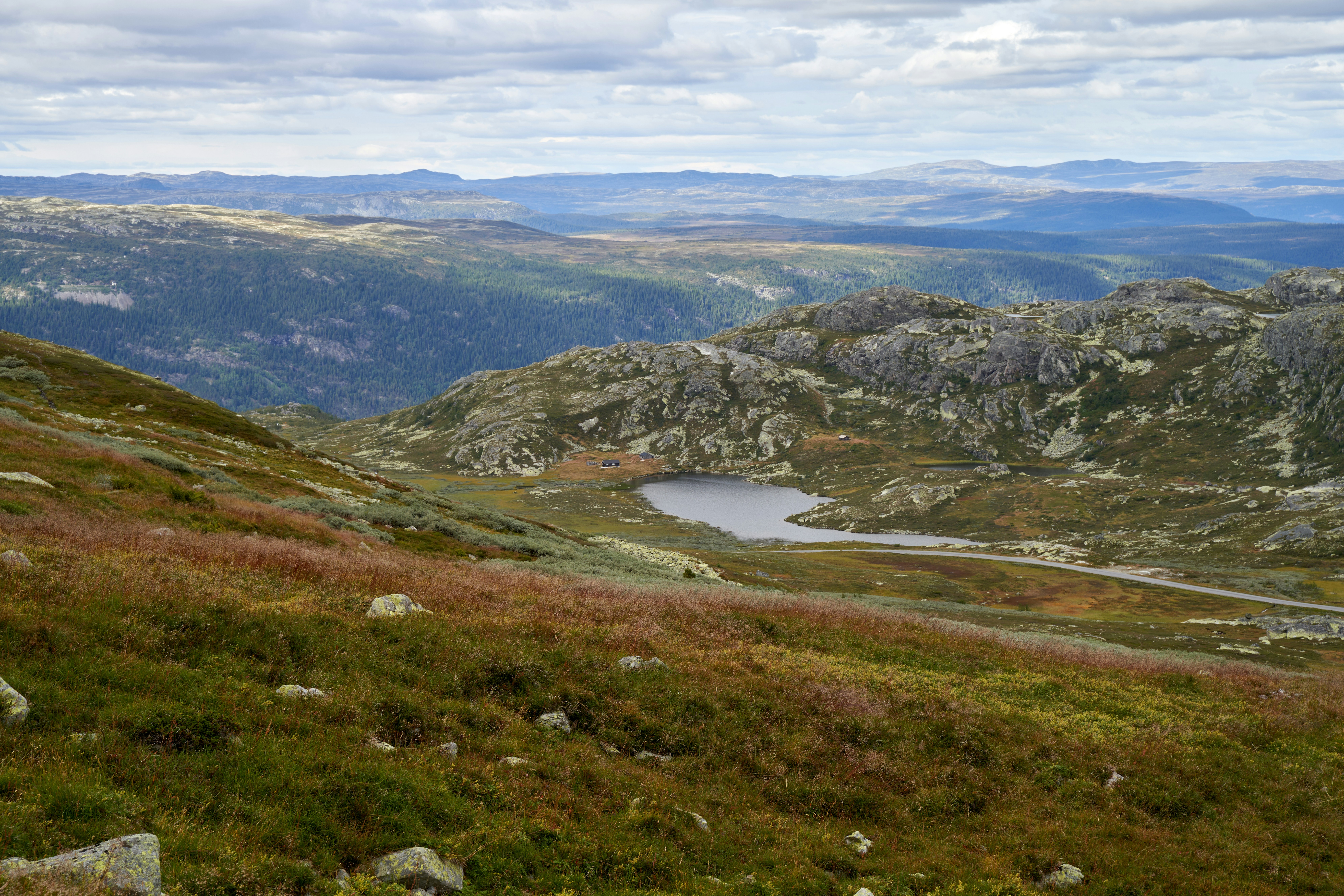 Photo by davotibarna