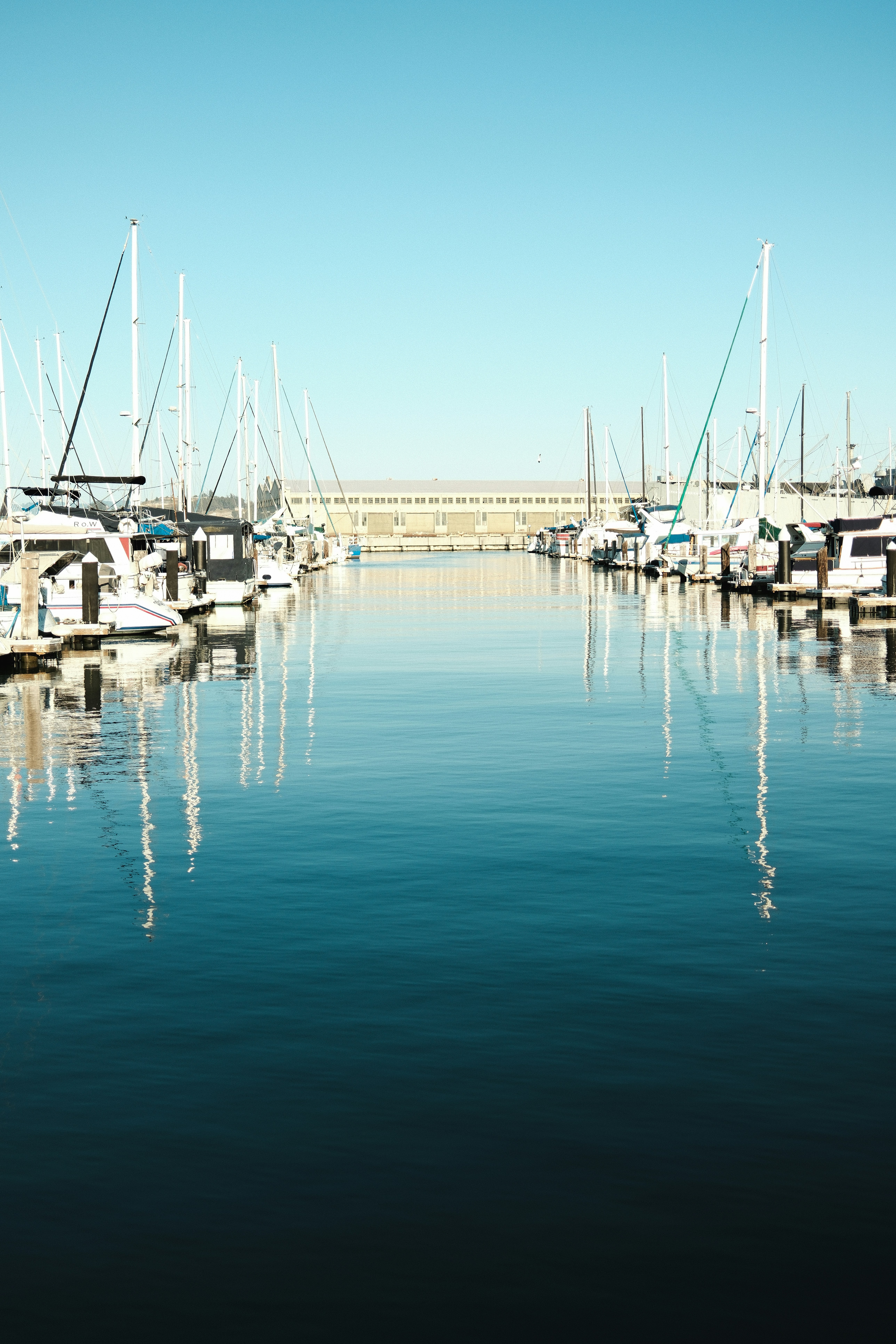 Photo by kalaniparker