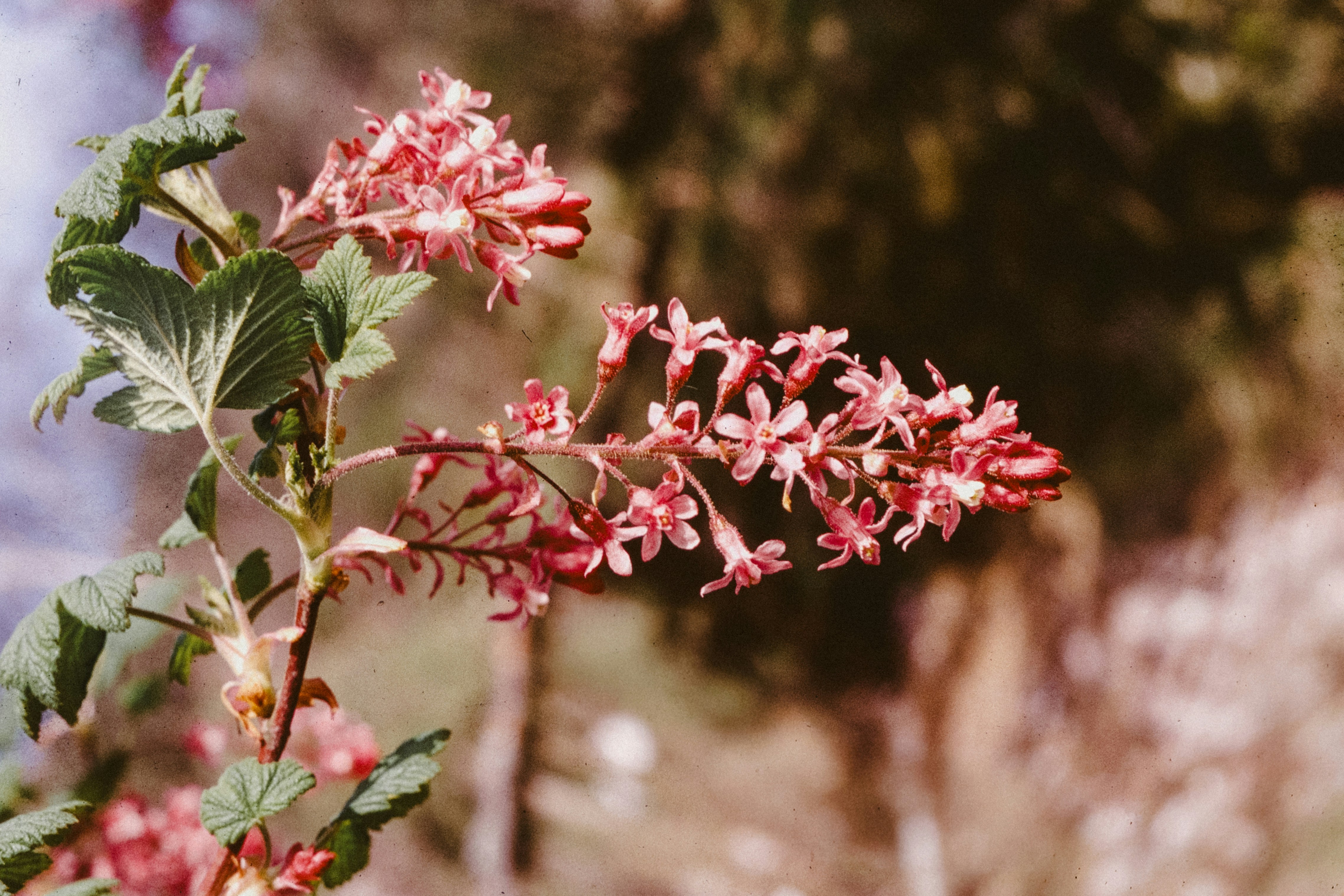Photo by anniespratt