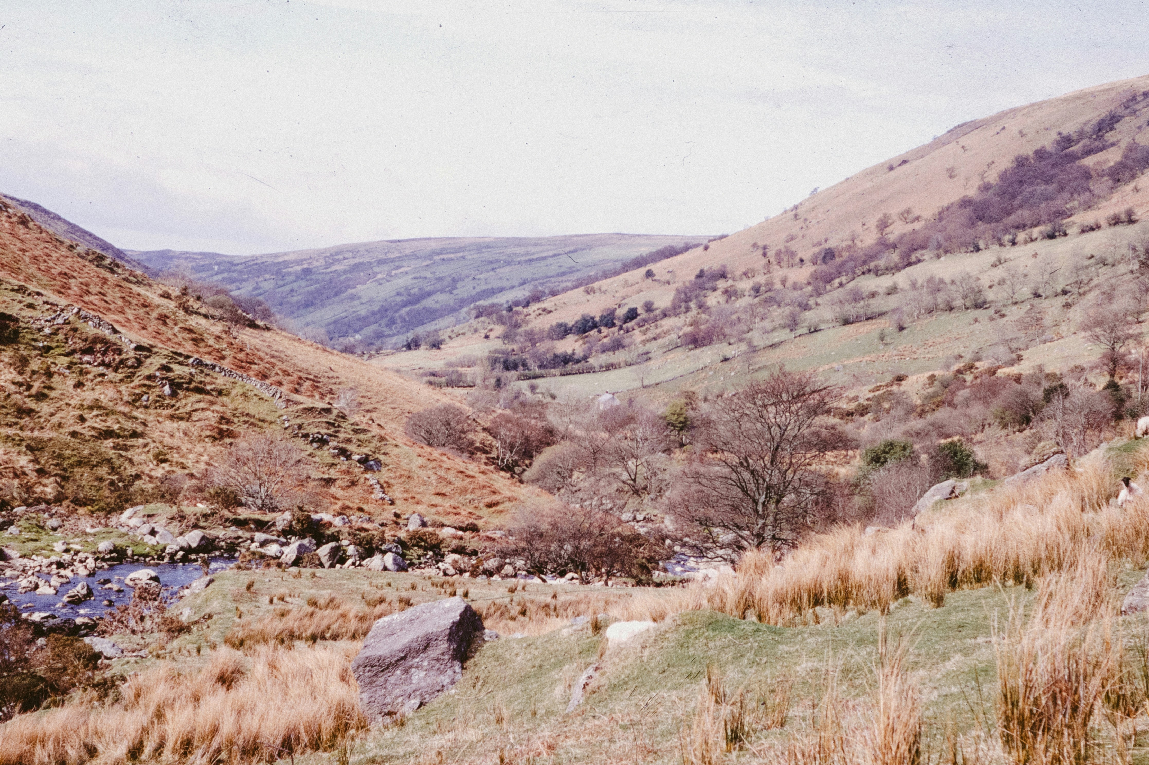 Photo by anniespratt