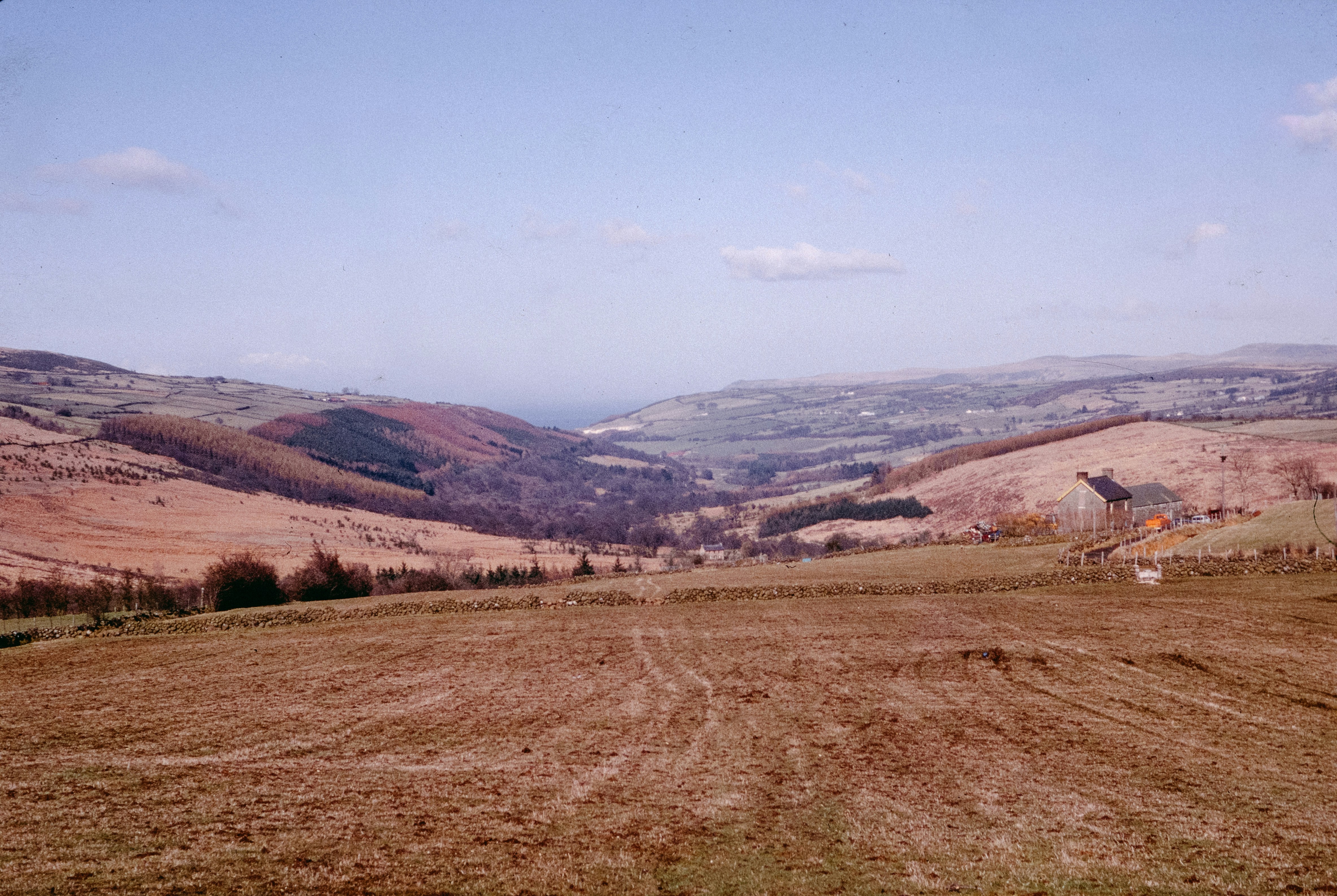 Photo by anniespratt