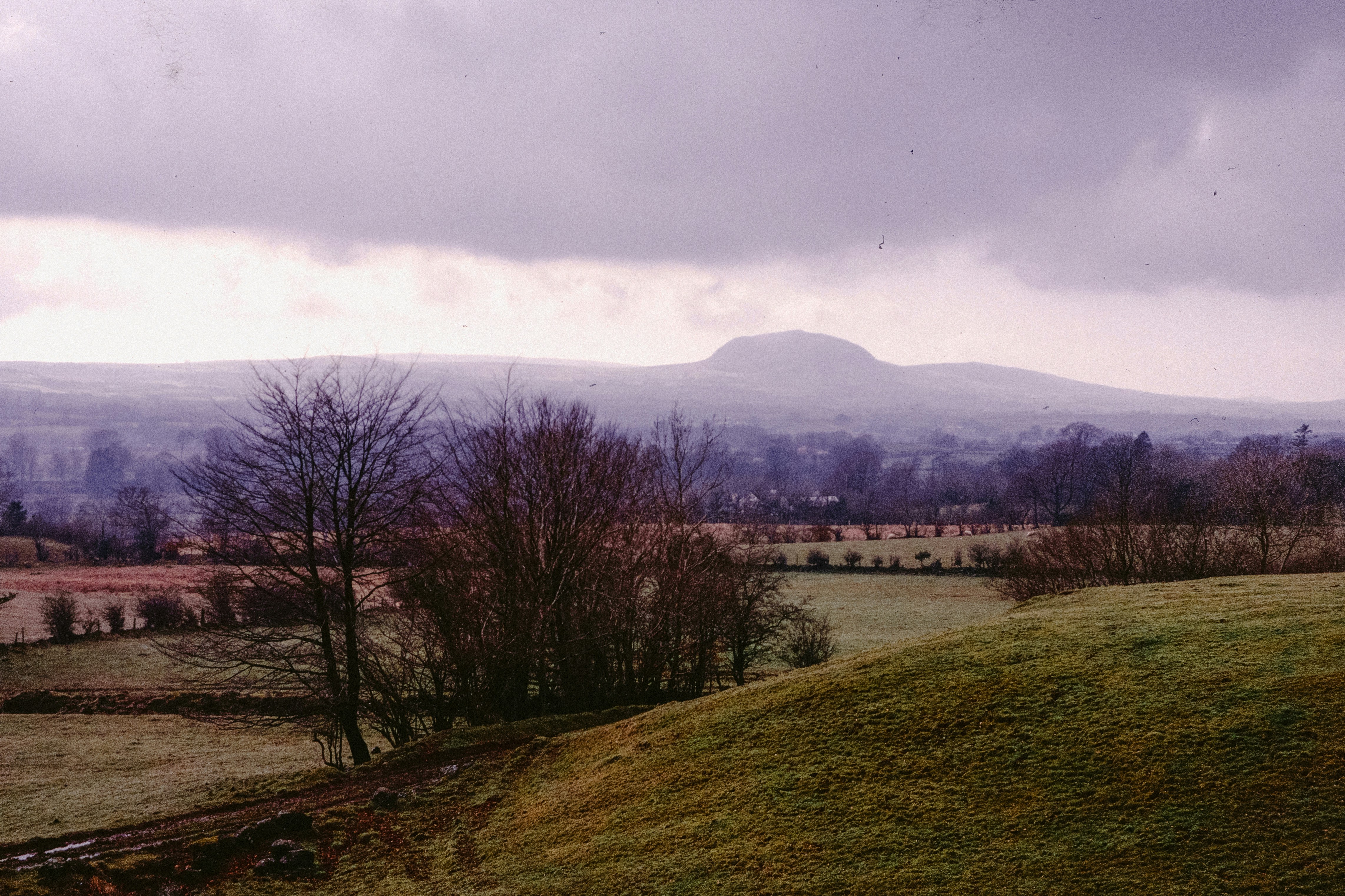 Photo by anniespratt