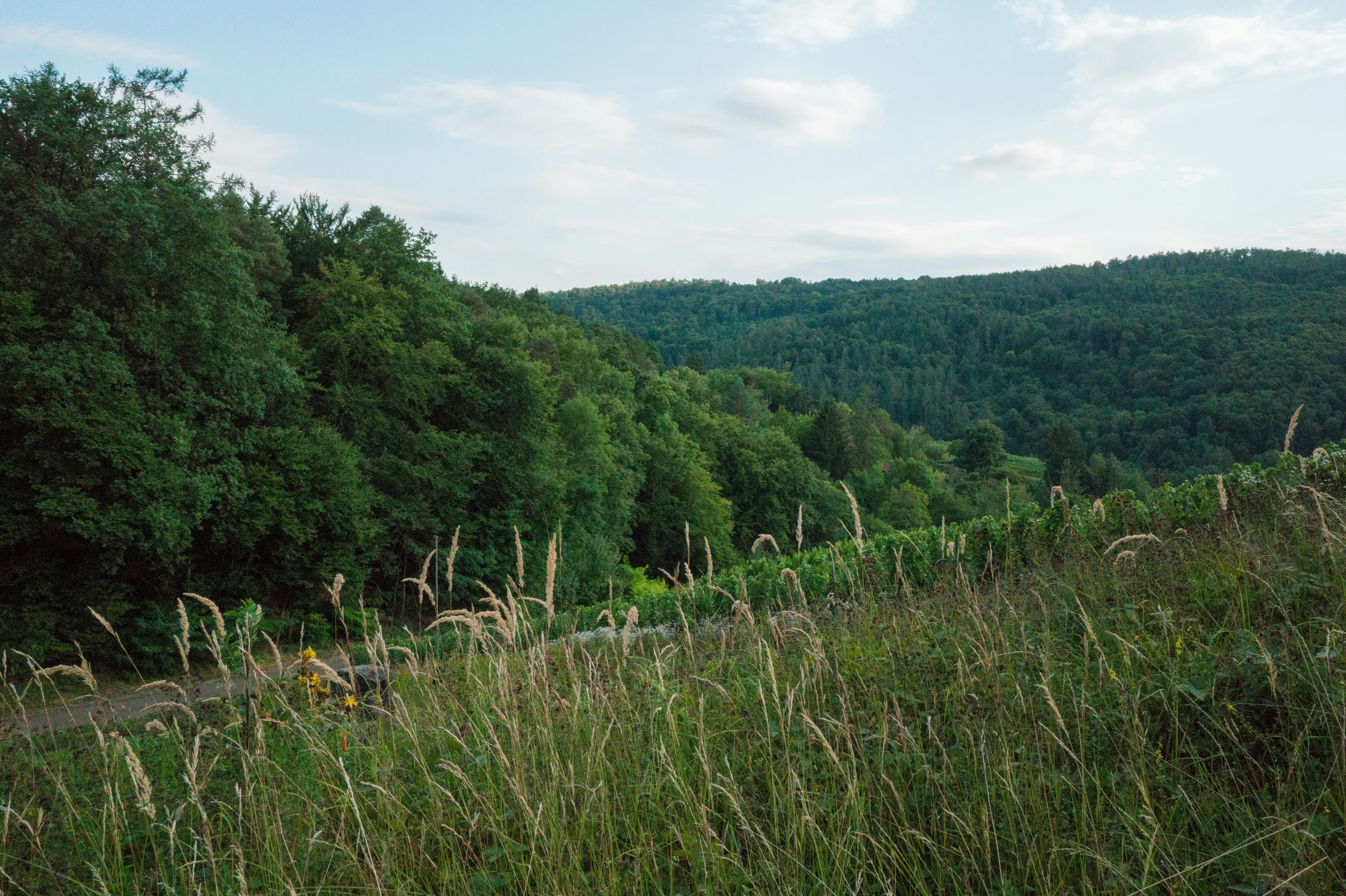 Photo by georgeiermann