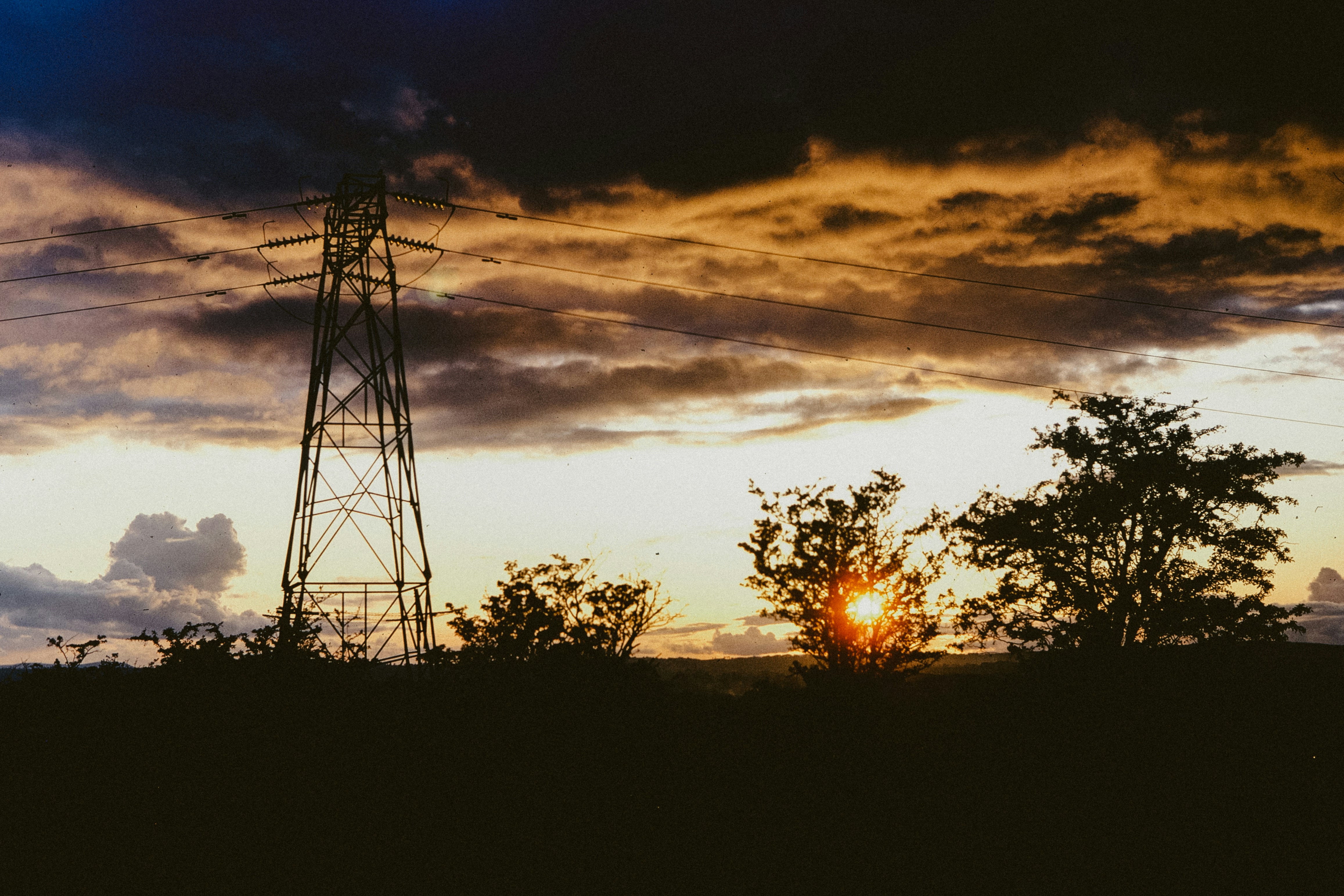 Photo by anniespratt