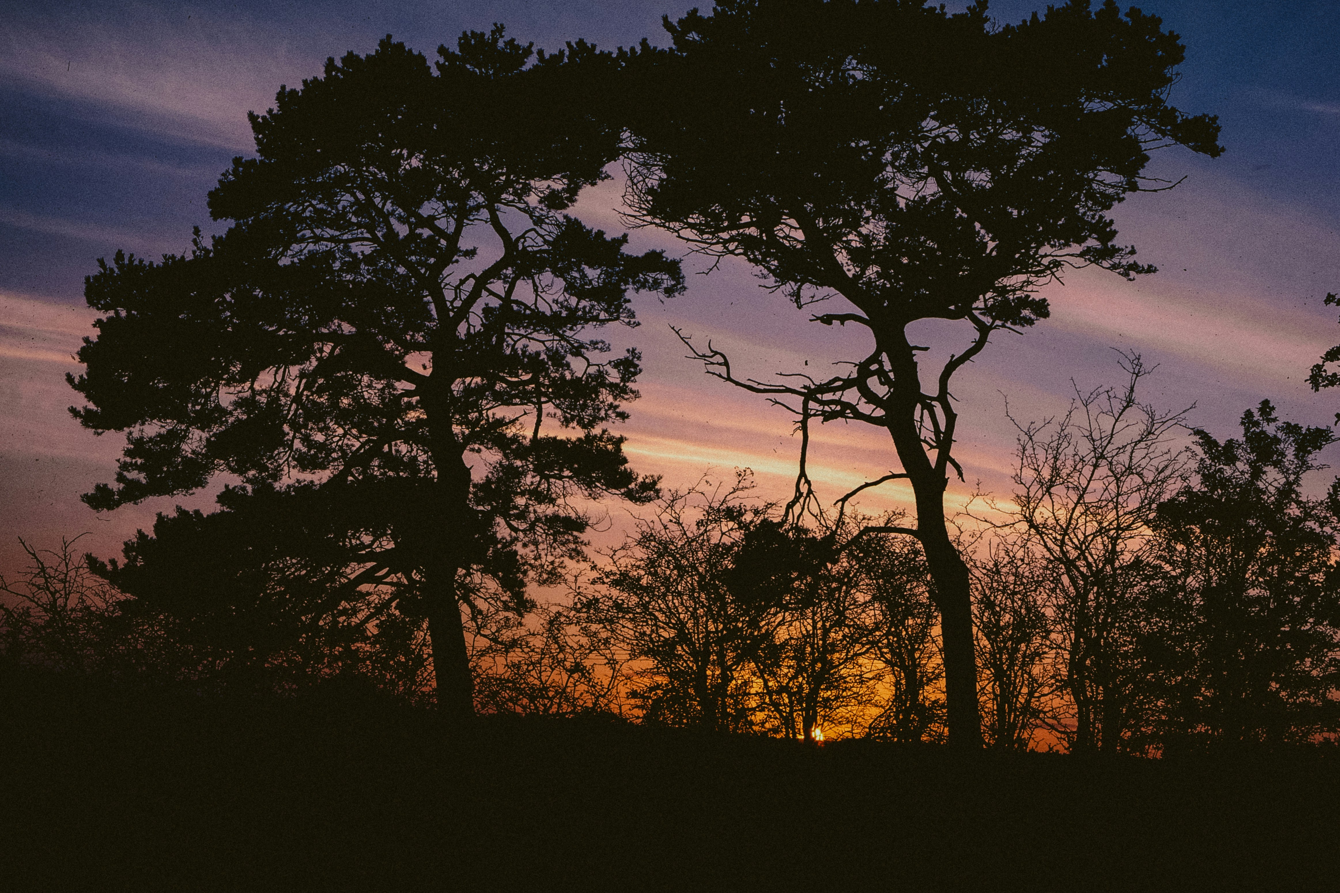 Photo by anniespratt