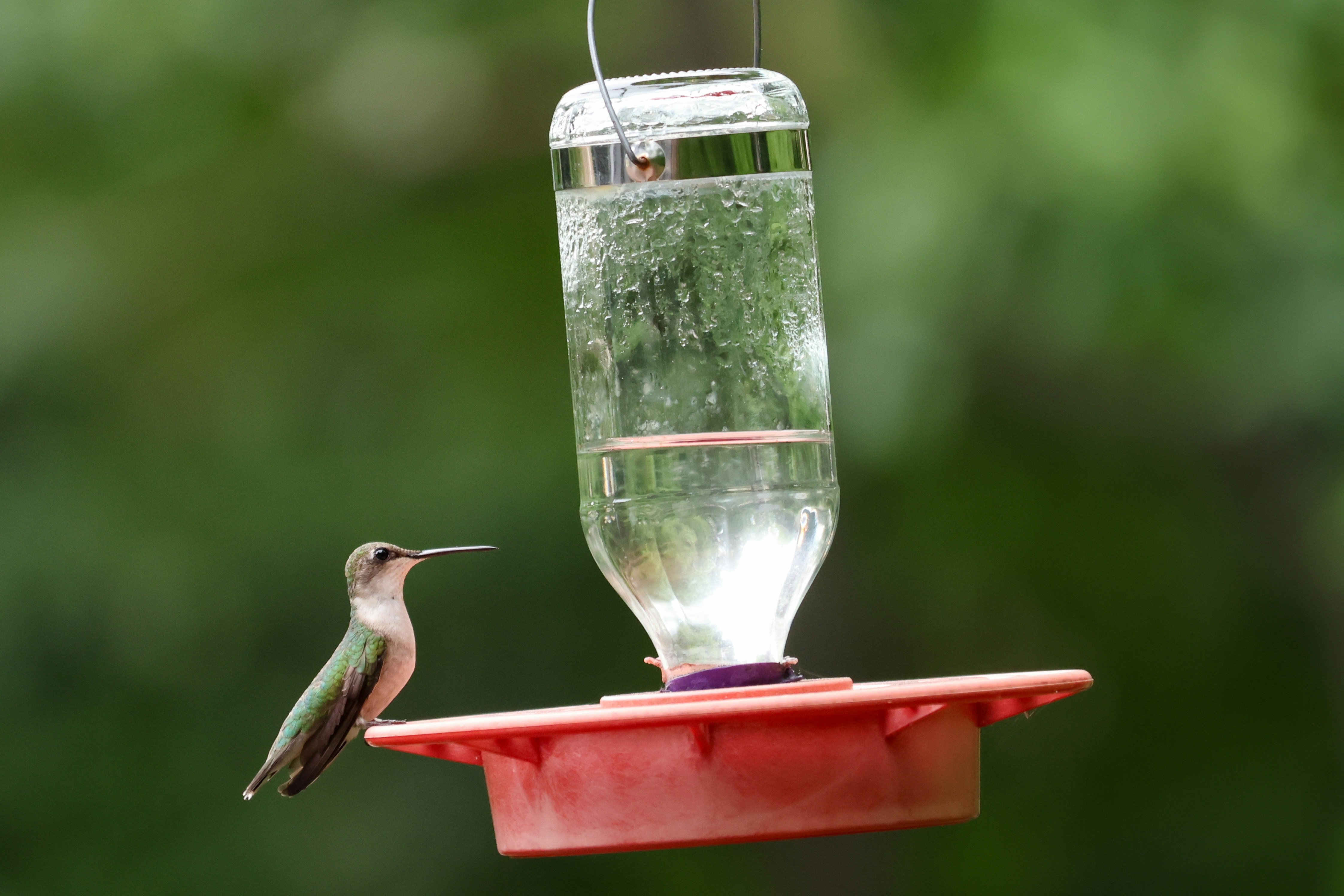 Photo by florianheemeyer