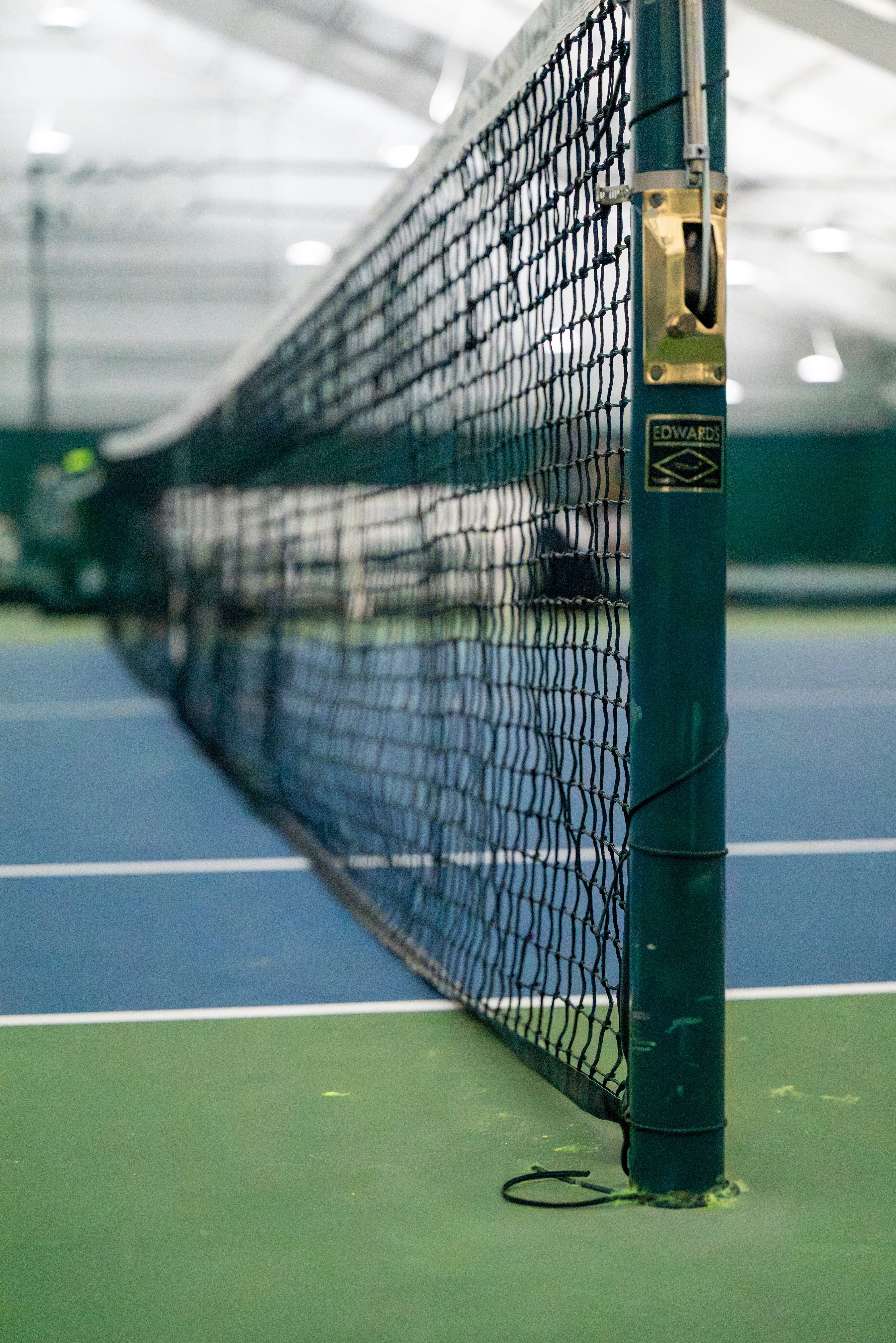 Photo by andysartori