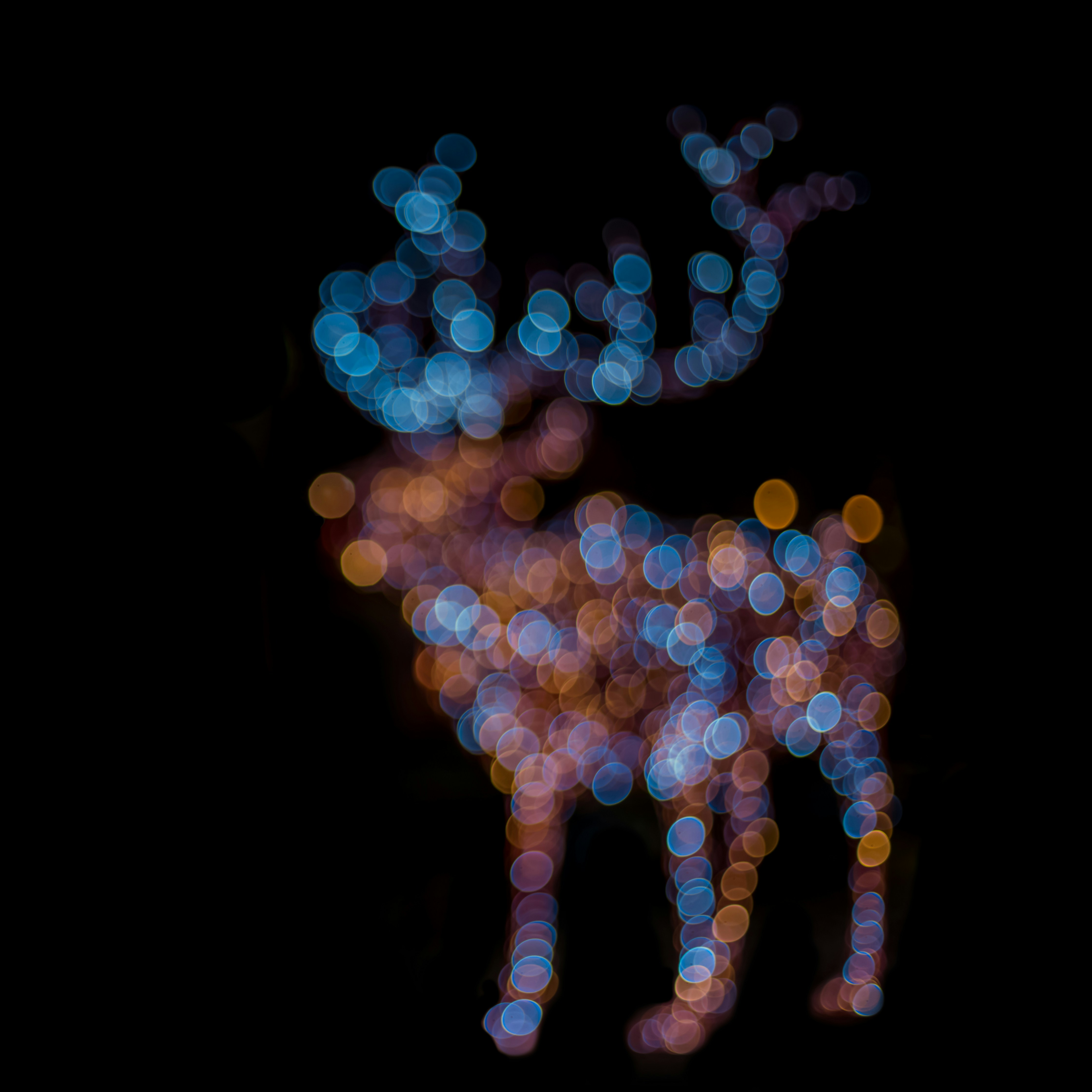 Blurred festive reindeer lights on black background