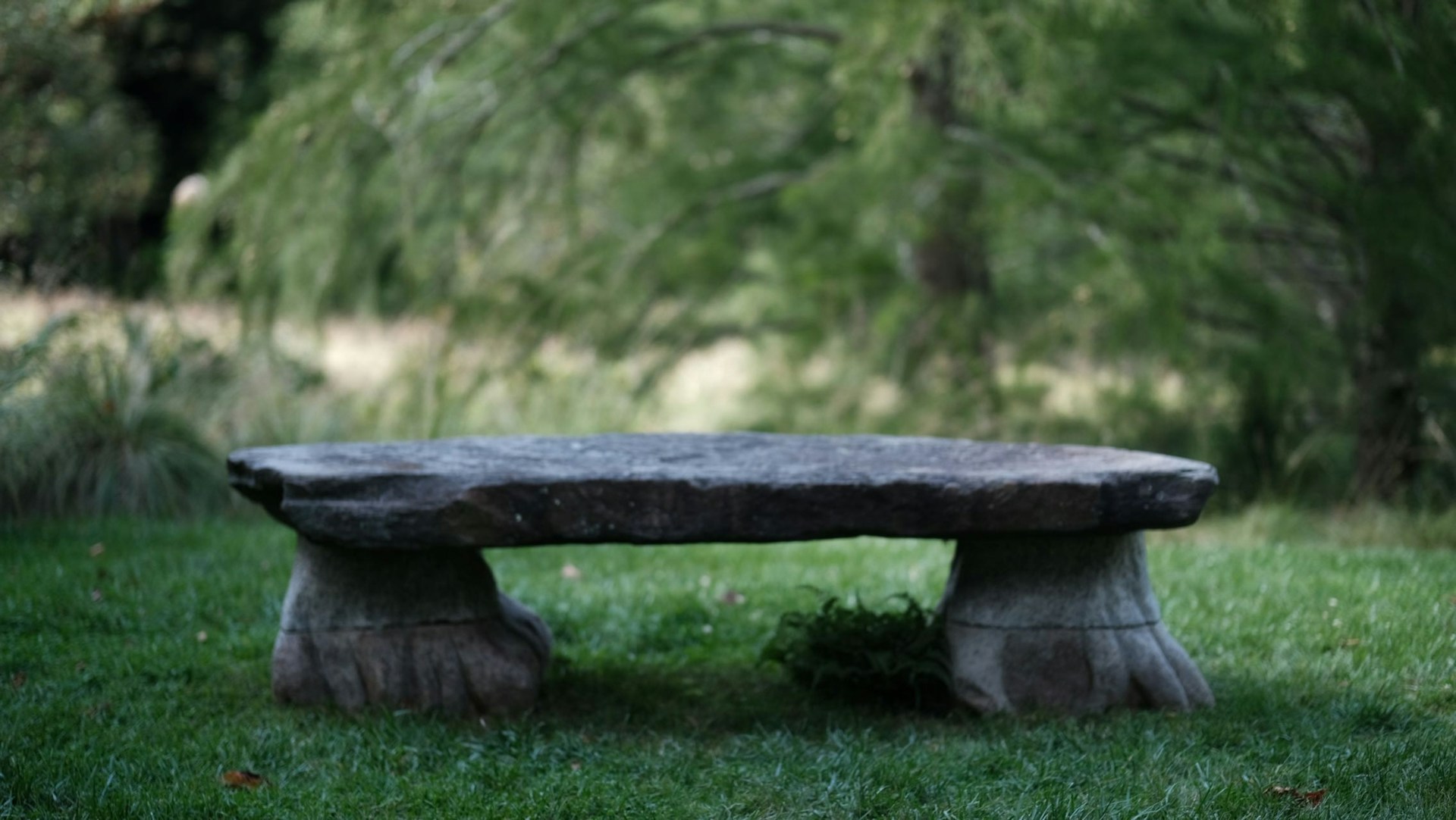 Stone bench in a lush green garden setting.