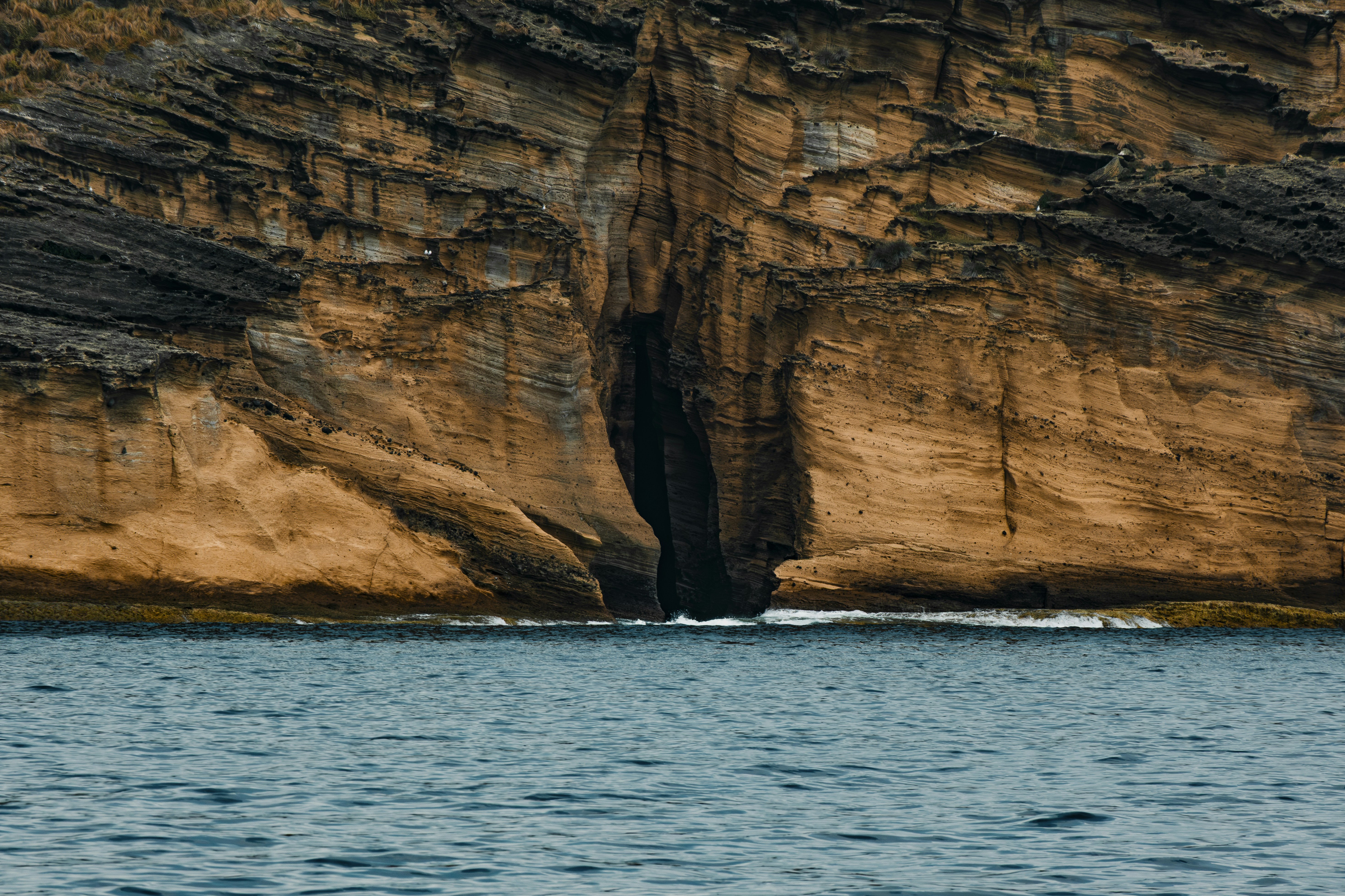 Photo by anastasiatr