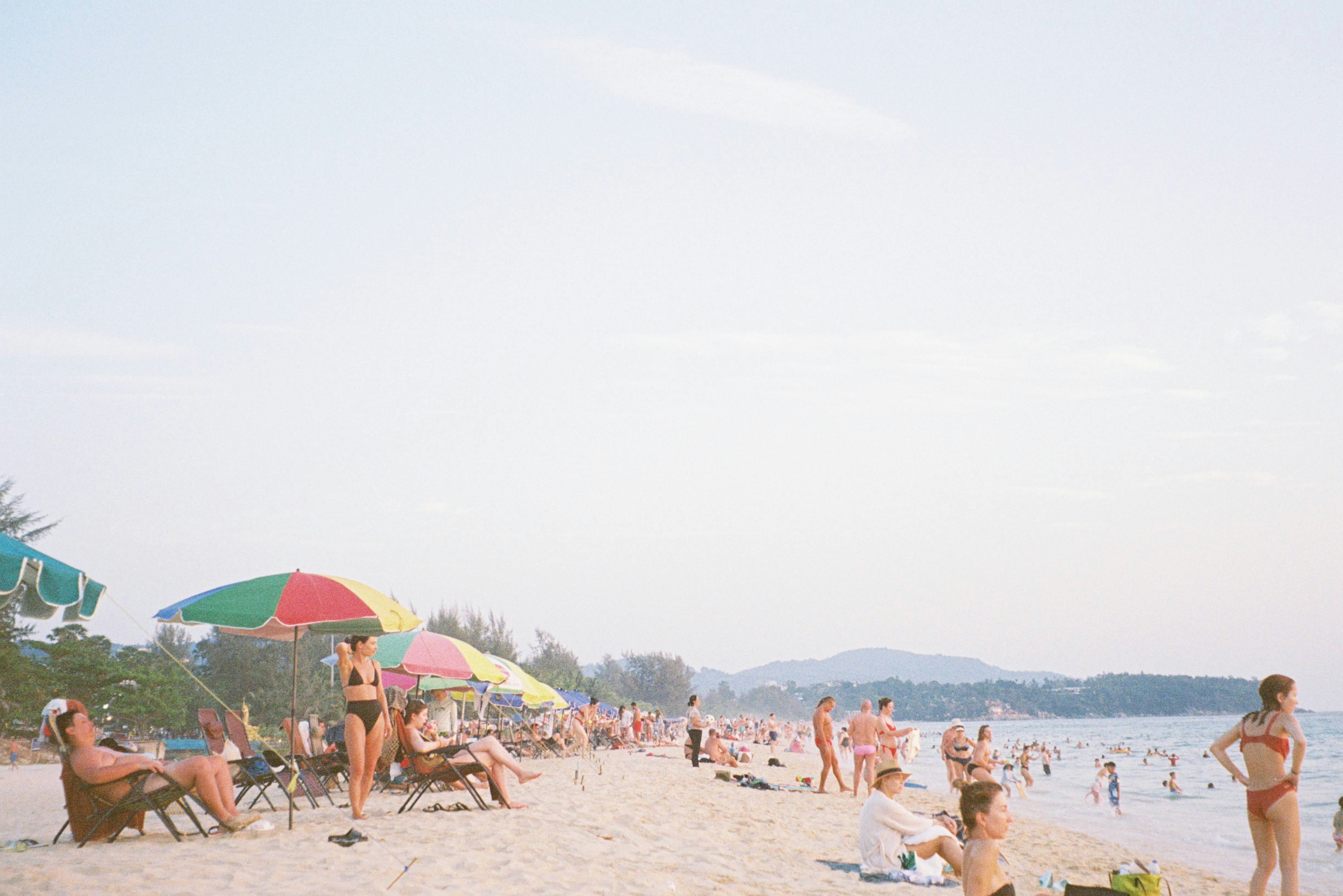 Solid Advice For Creating An Article Marketing Plan