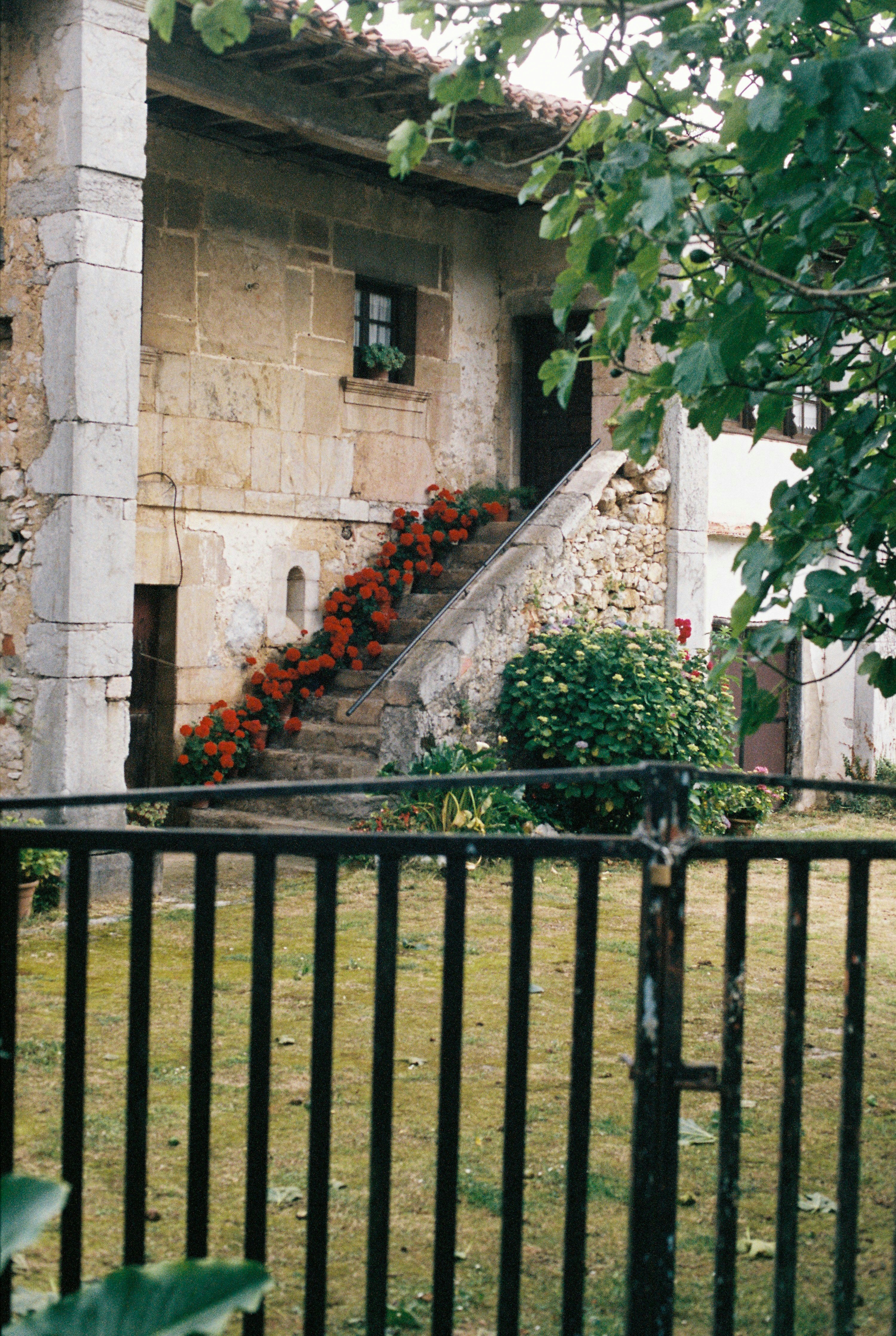 Photo by pelayoarbues