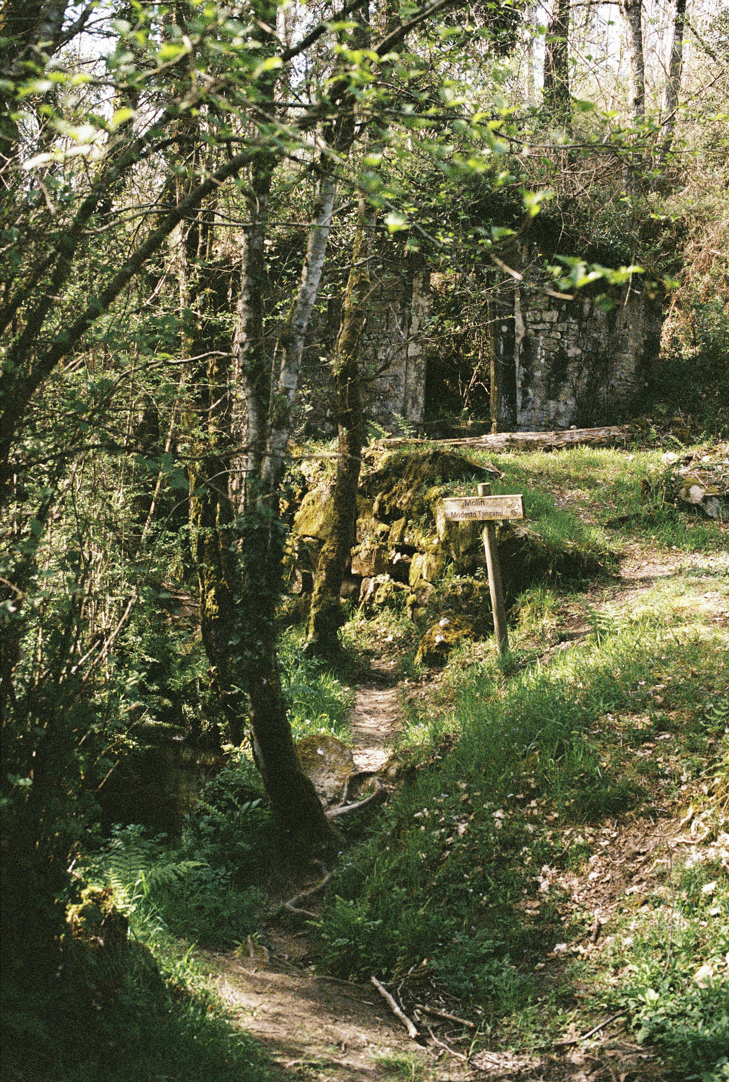 Photo by pelayoarbues