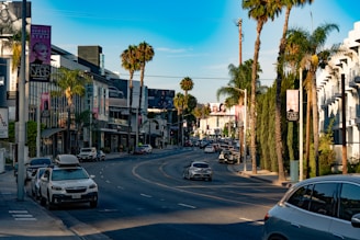 Cars driving on a sunny street lined with palm trees.