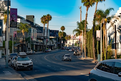 Cars driving on a sunny street lined with palm trees.
