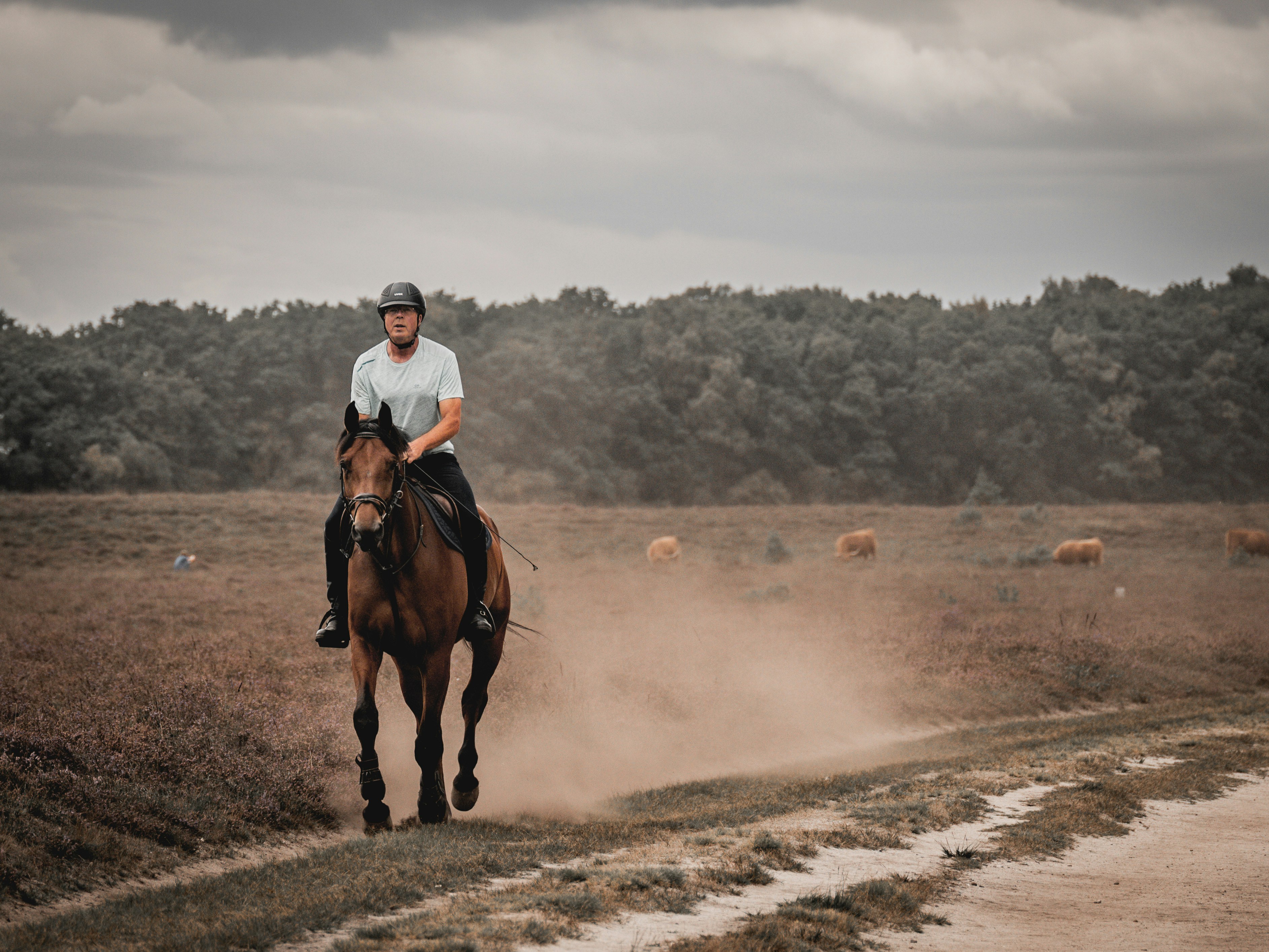 Photo by haberdoedas