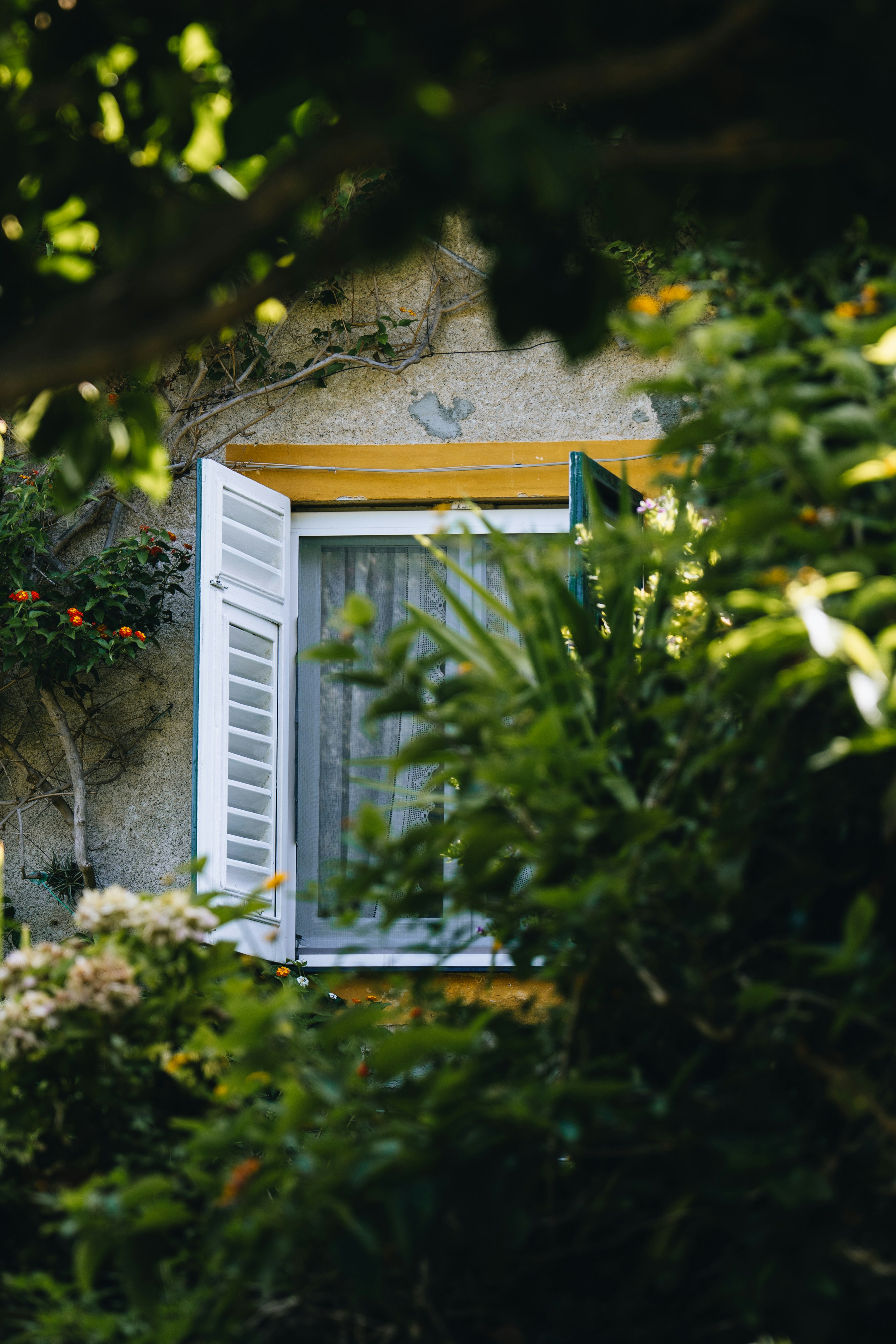 Photo by lifeof_peter_