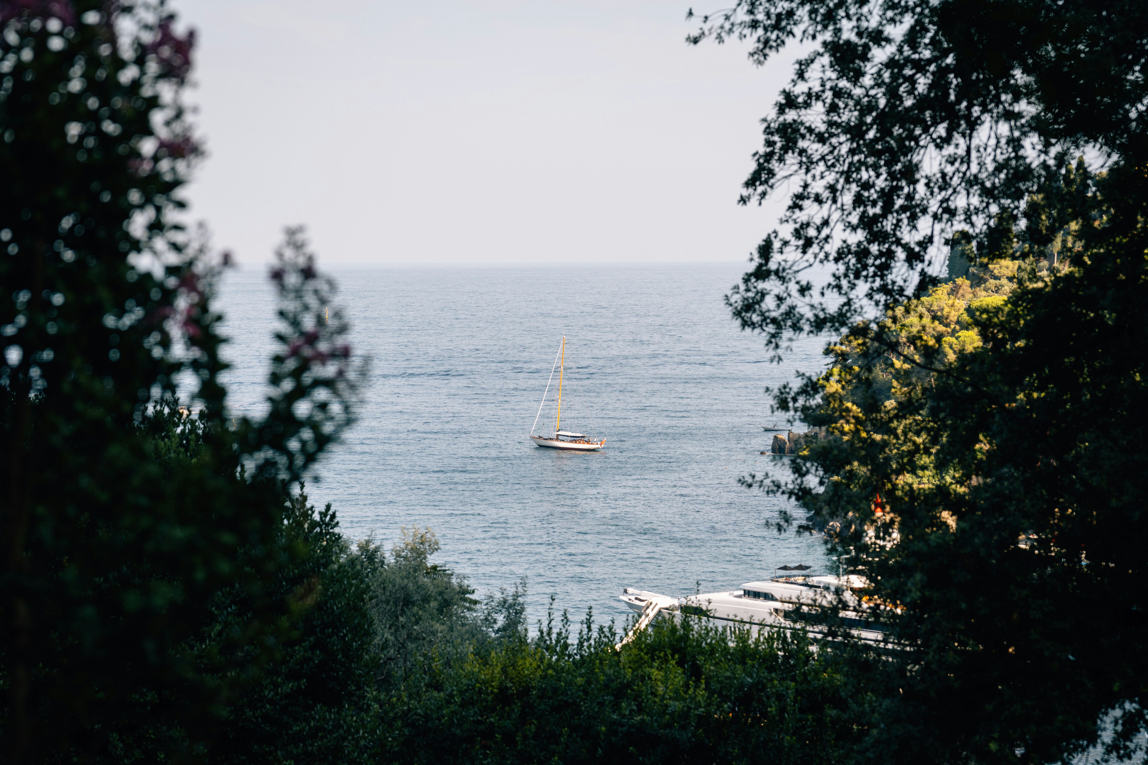 Photo by lifeof_peter_