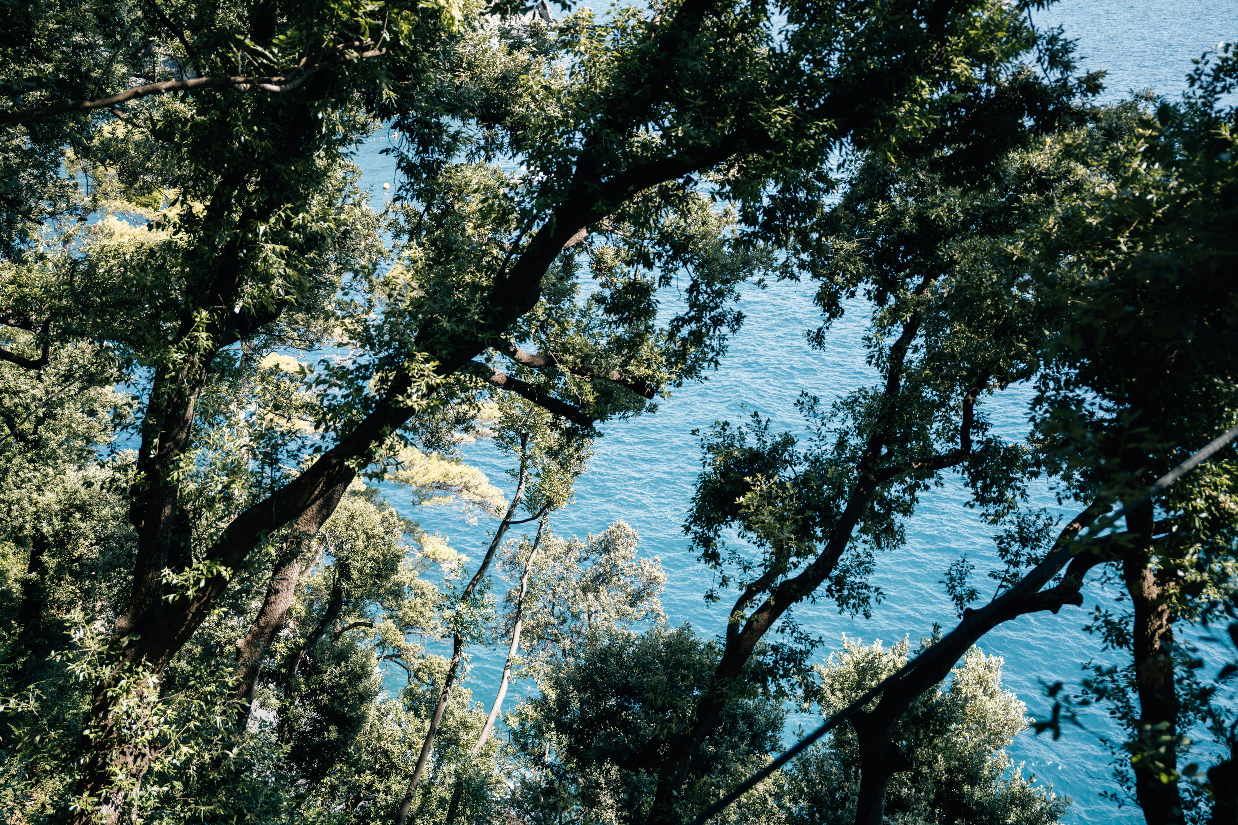 Photo by lifeof_peter_