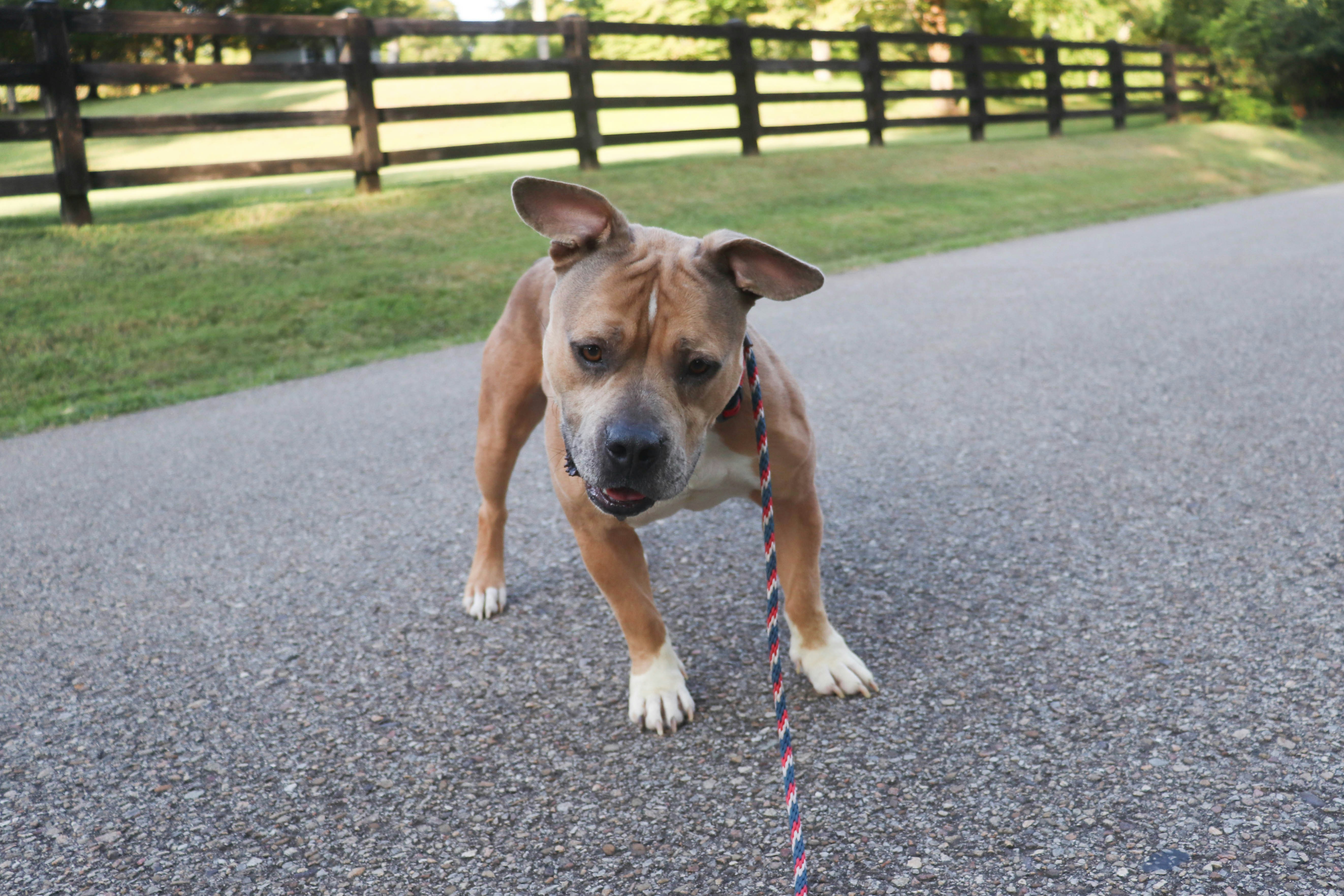 Photo by lroberts067