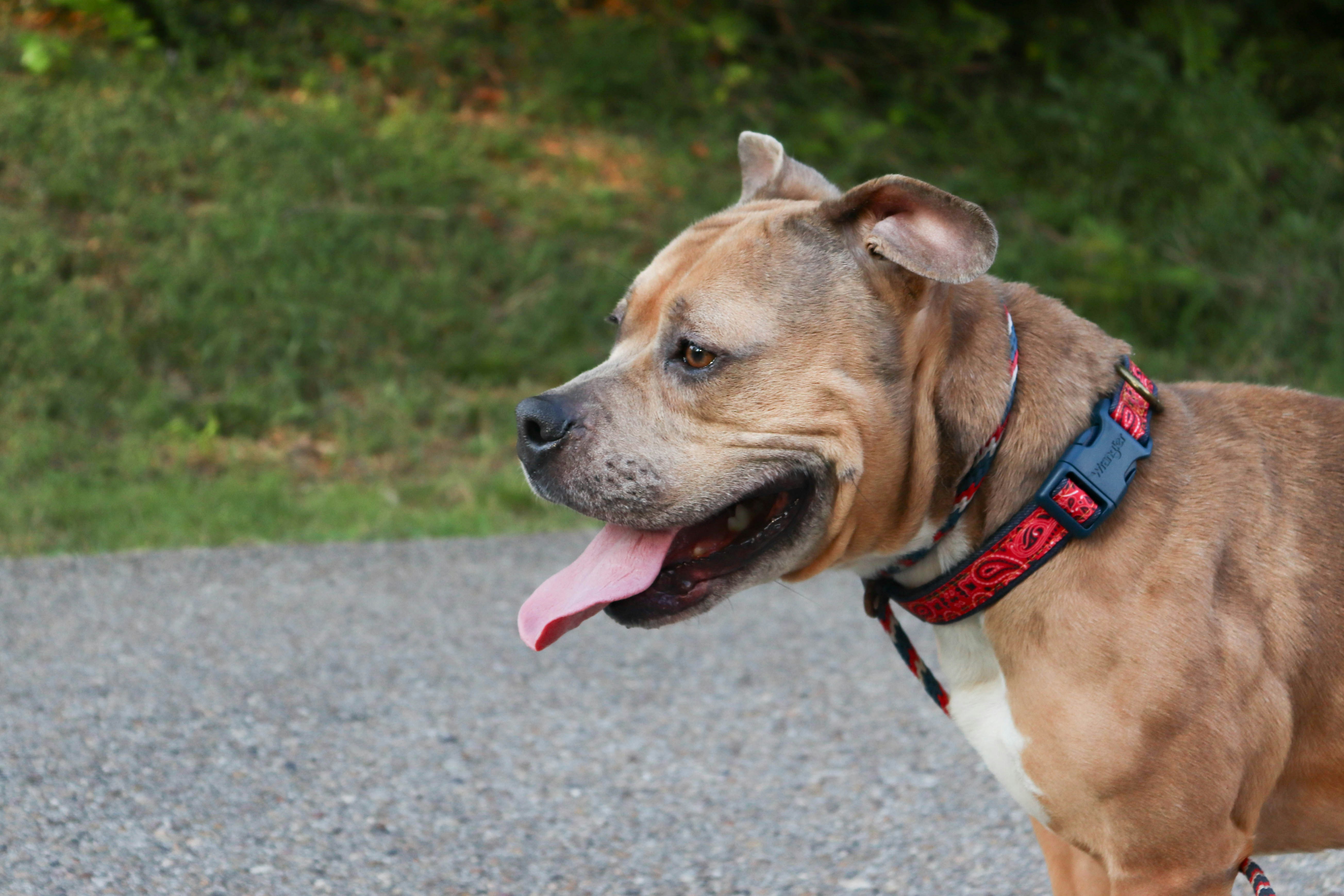 Photo by lroberts067