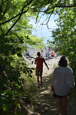People walking down a sandy path to the ocean.