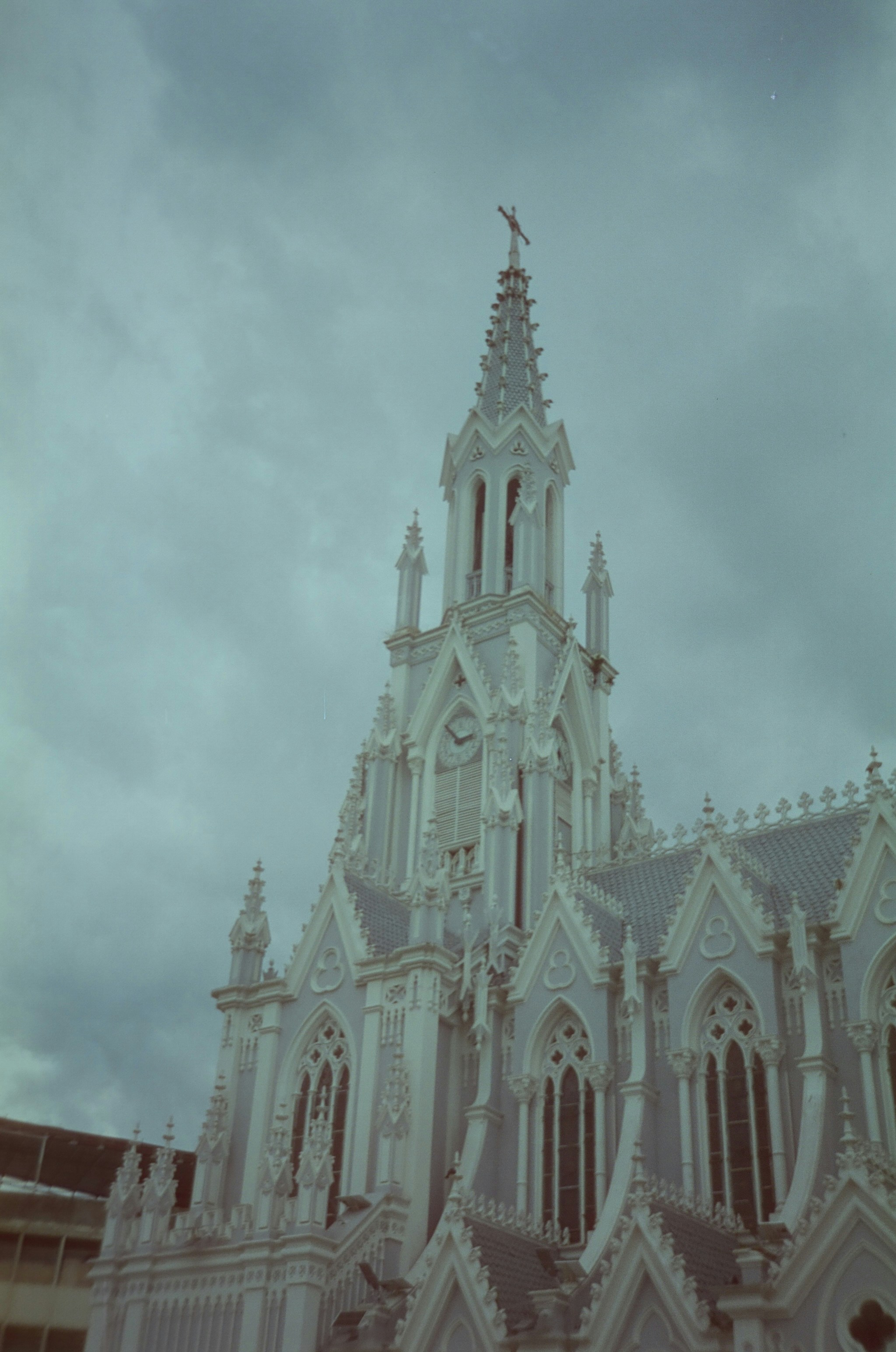 Photo by camilaescobar