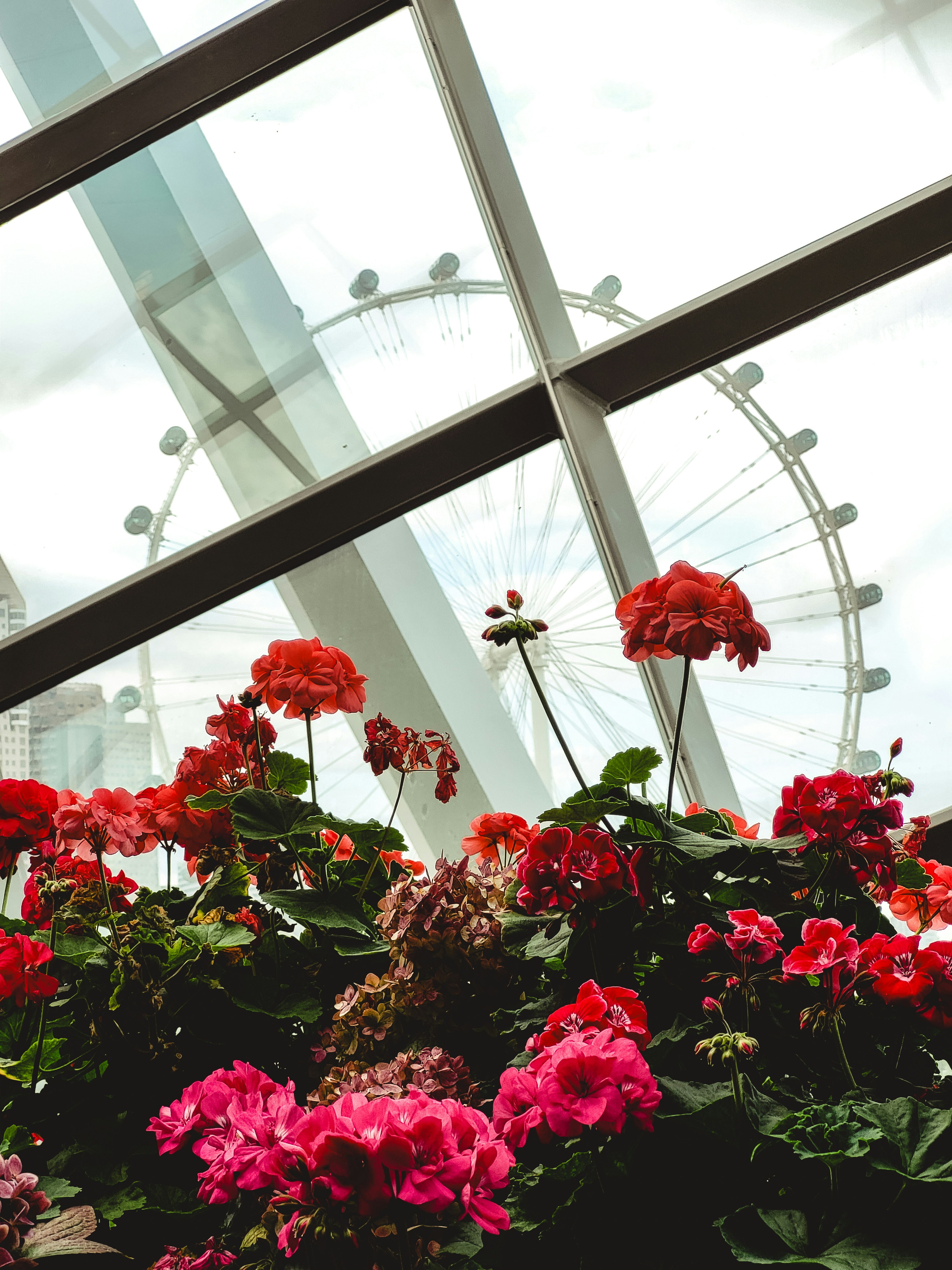 Photo by theaurumera