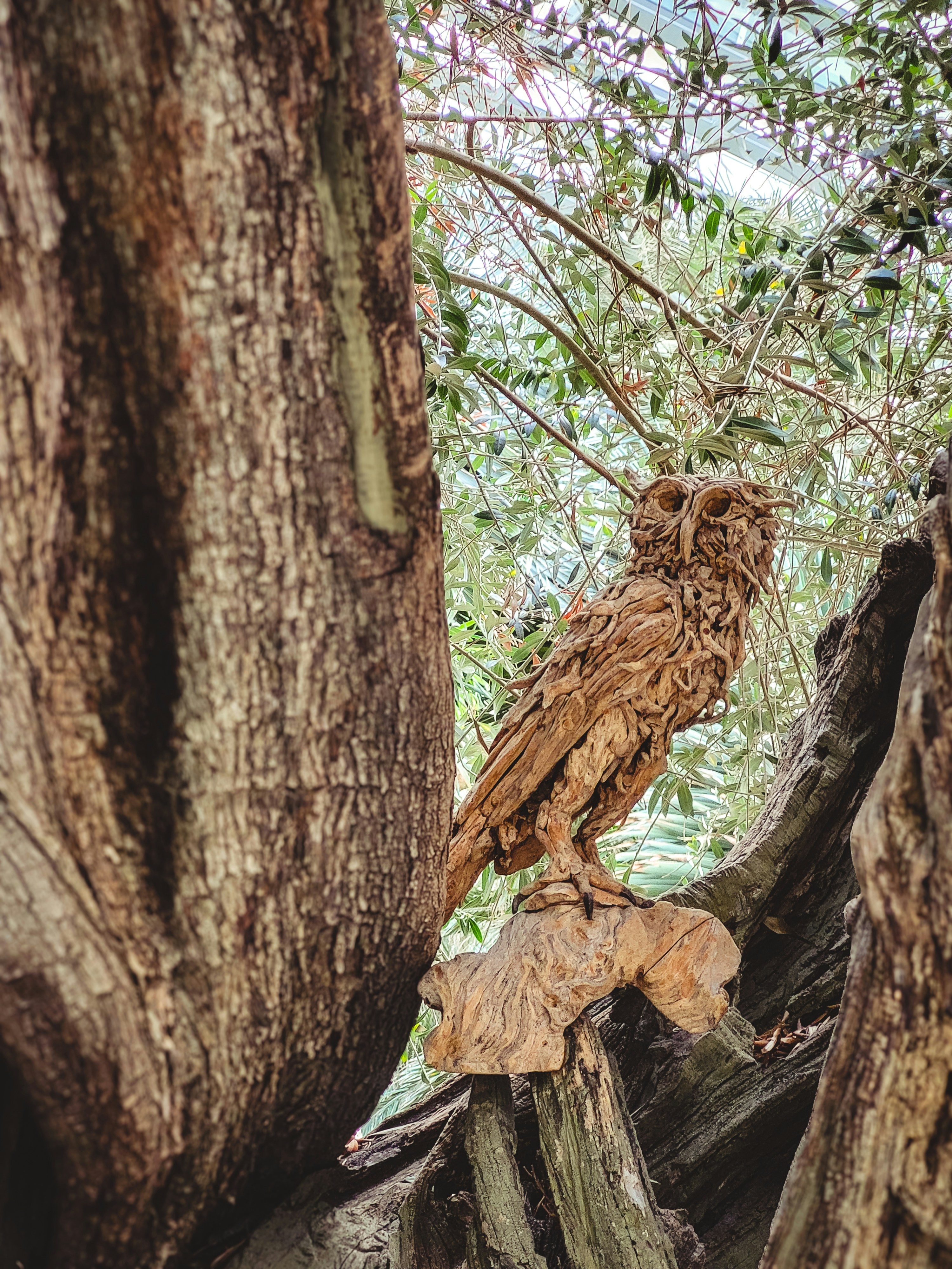 Photo by theaurumera