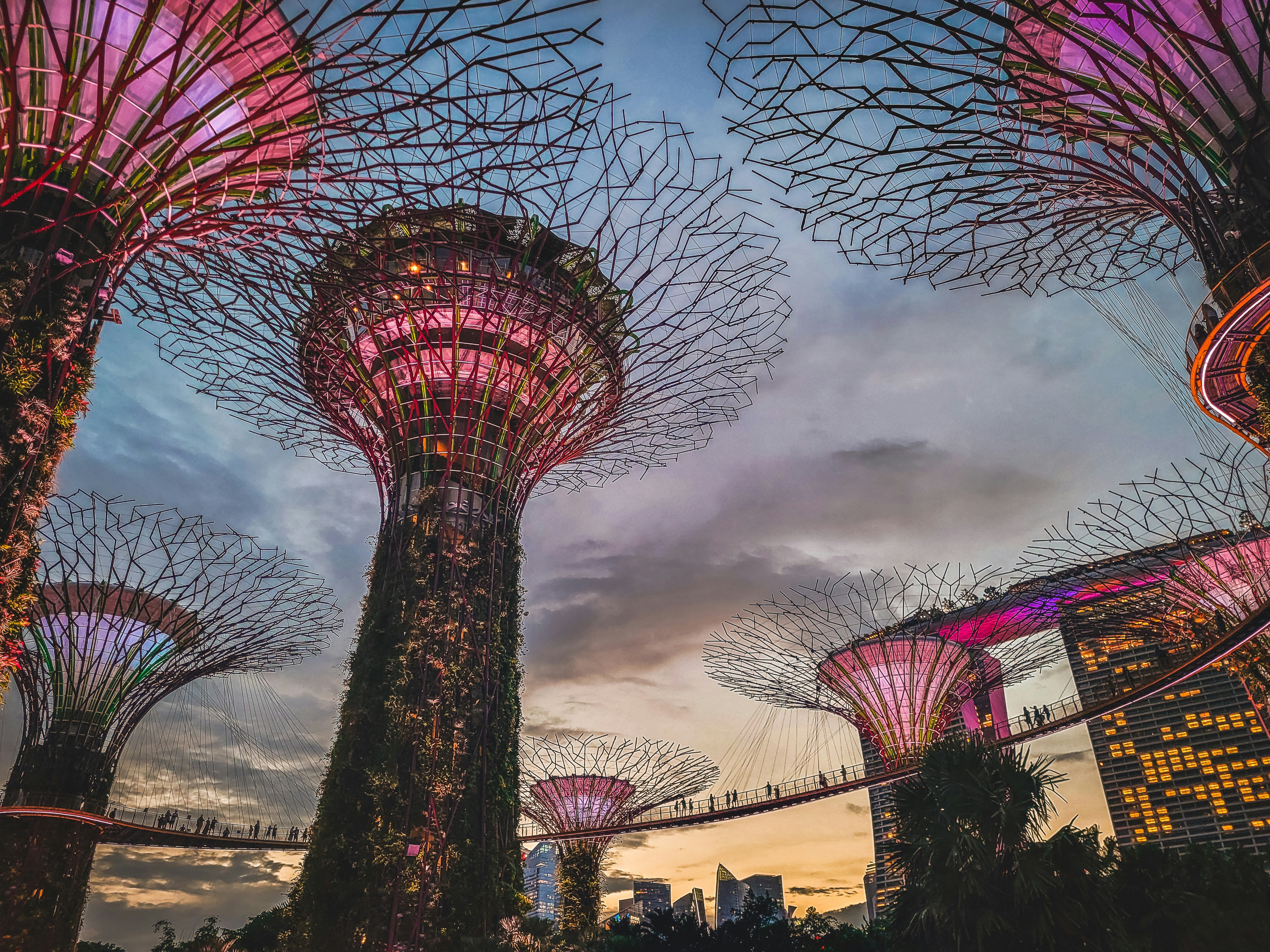 Photo by theaurumera