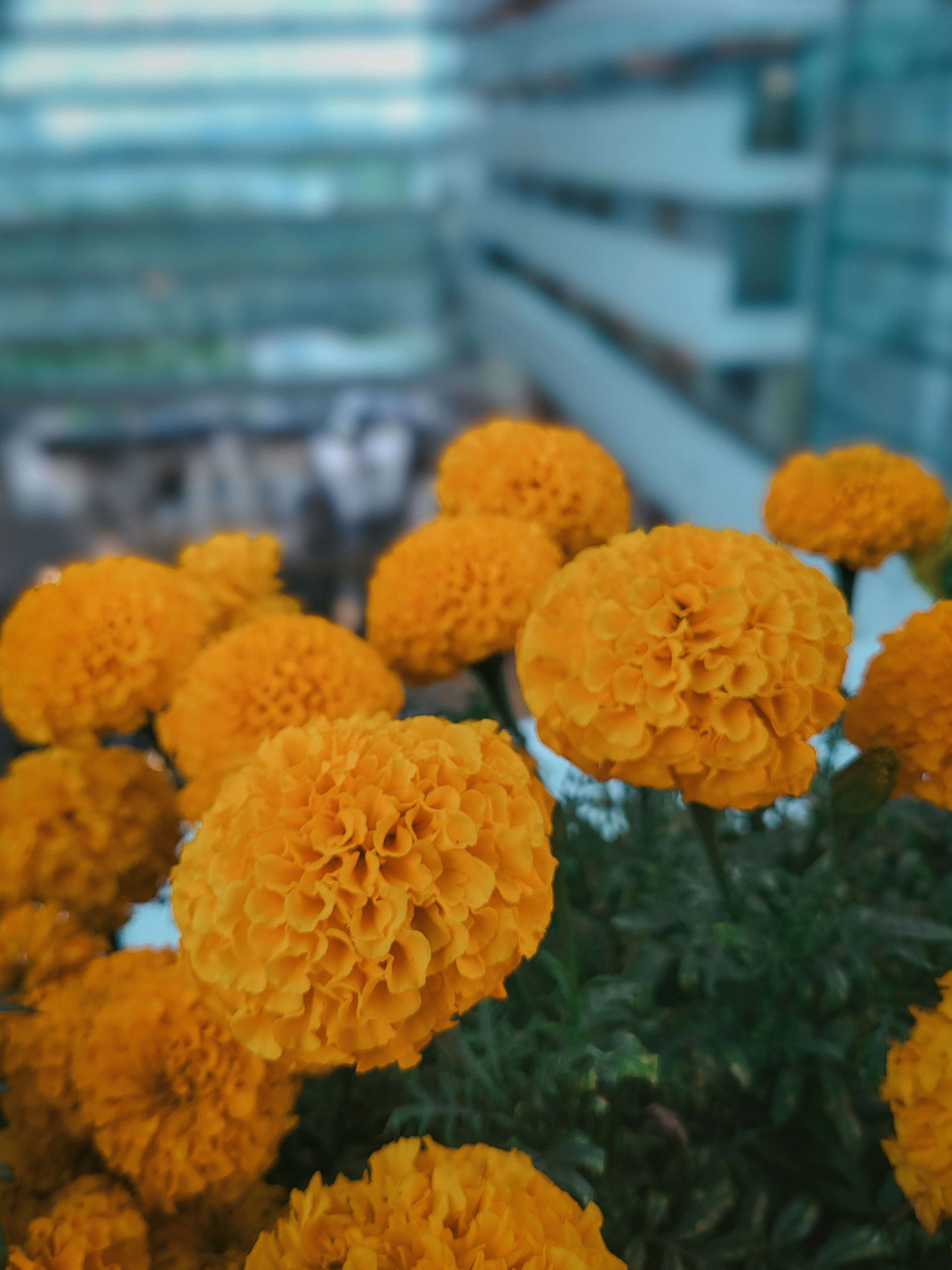 Photo by theaurumera