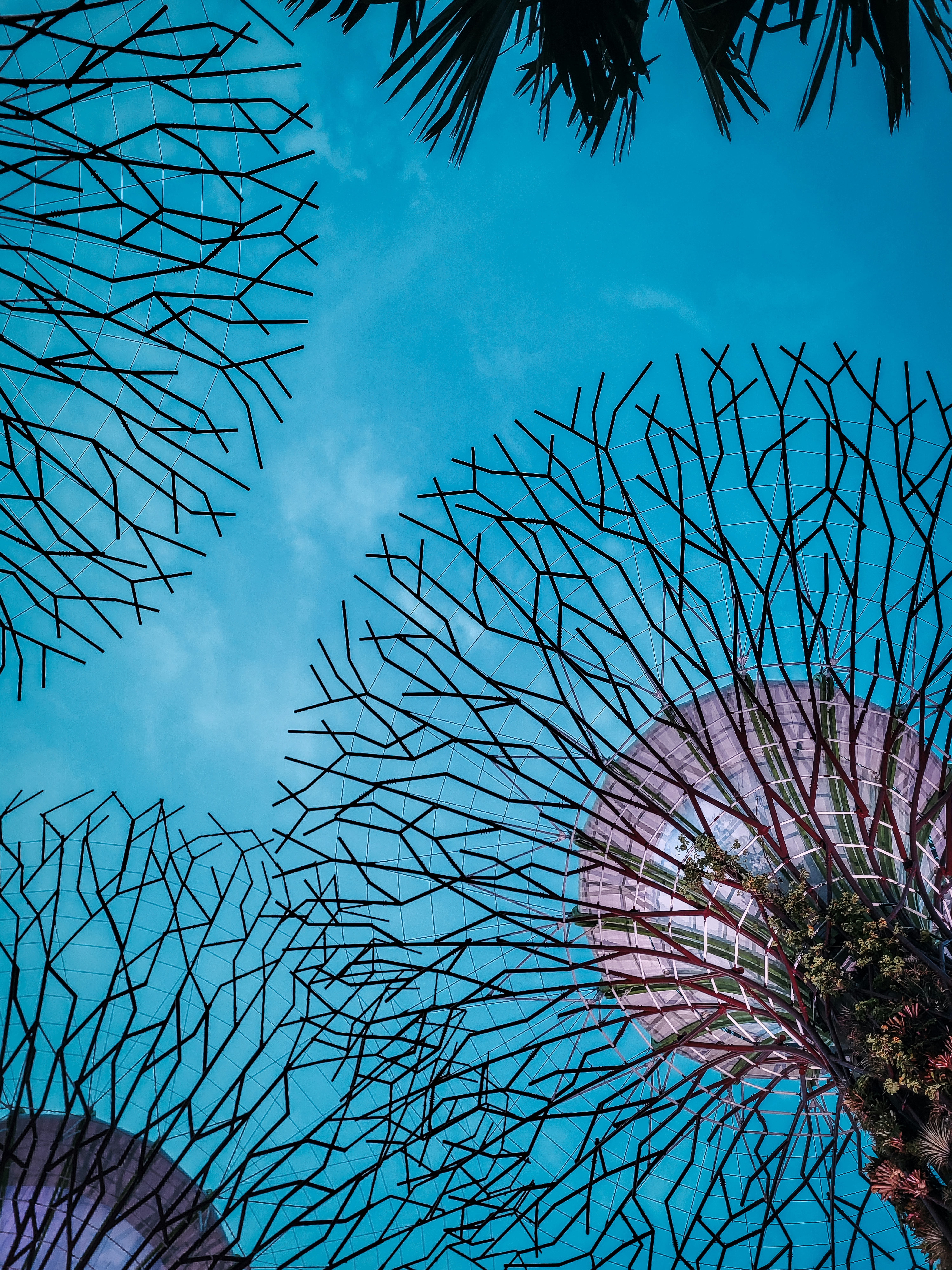 Photo by theaurumera