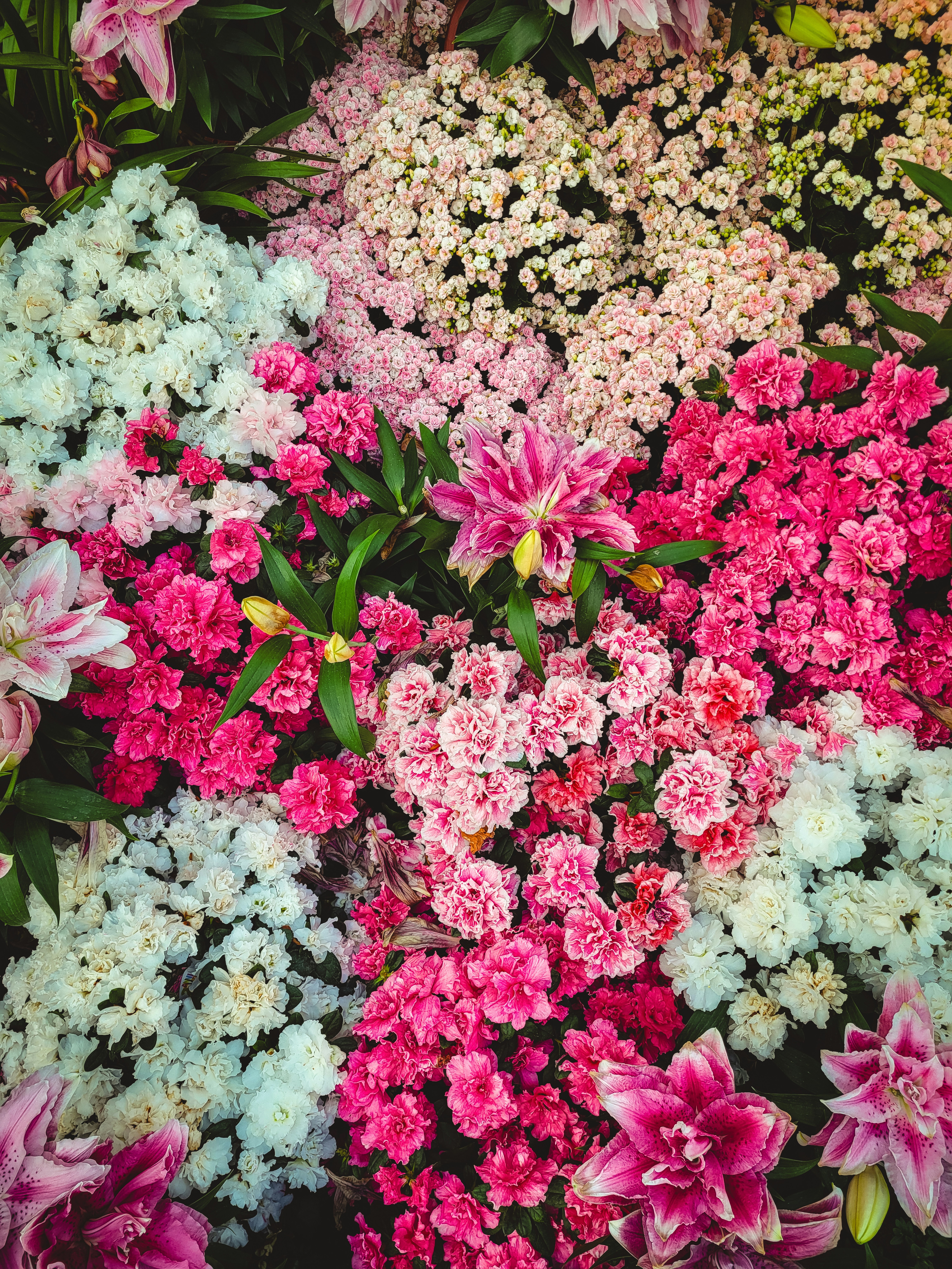 Photo by theaurumera