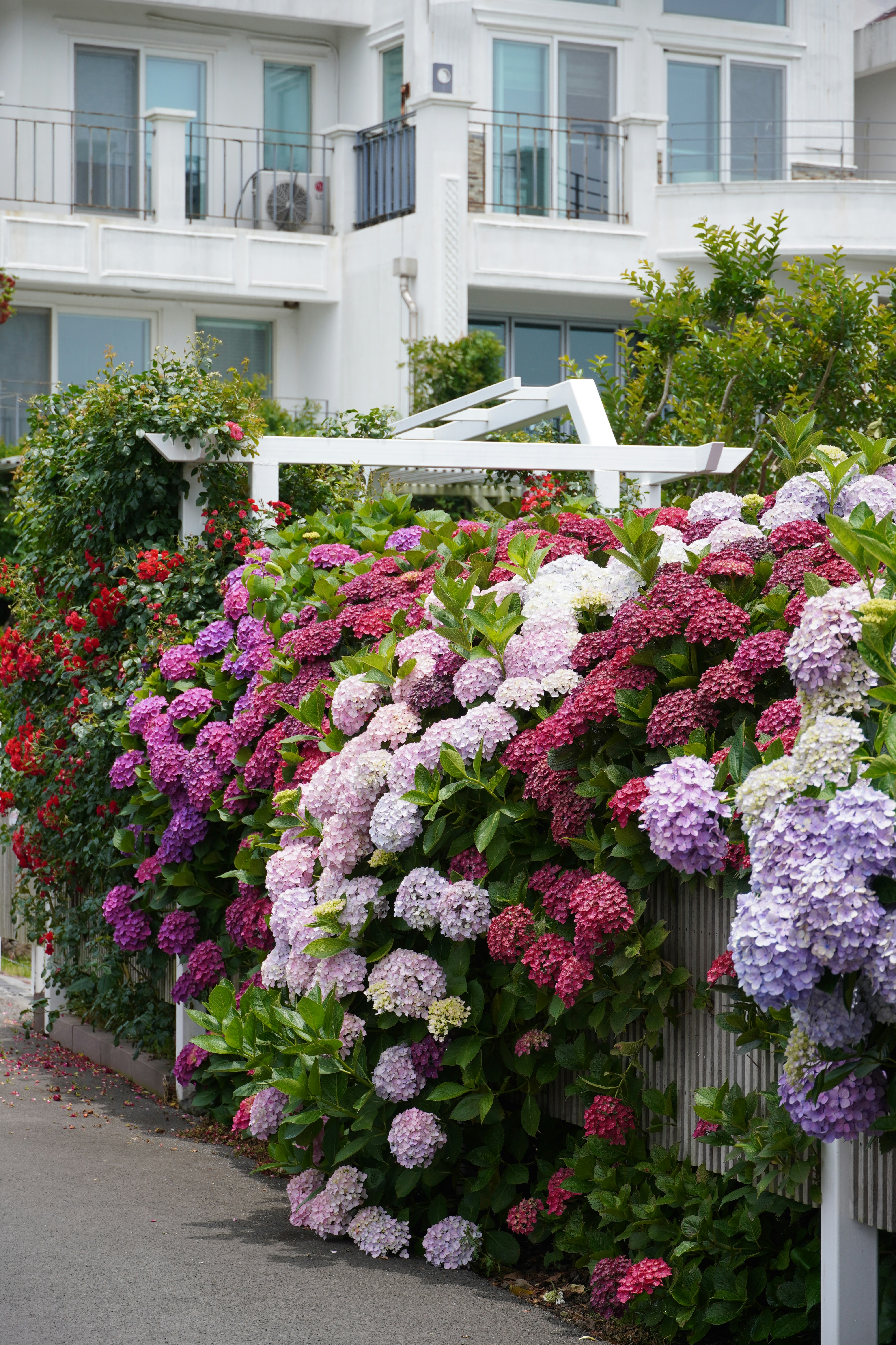 Photo by lifeinkorea