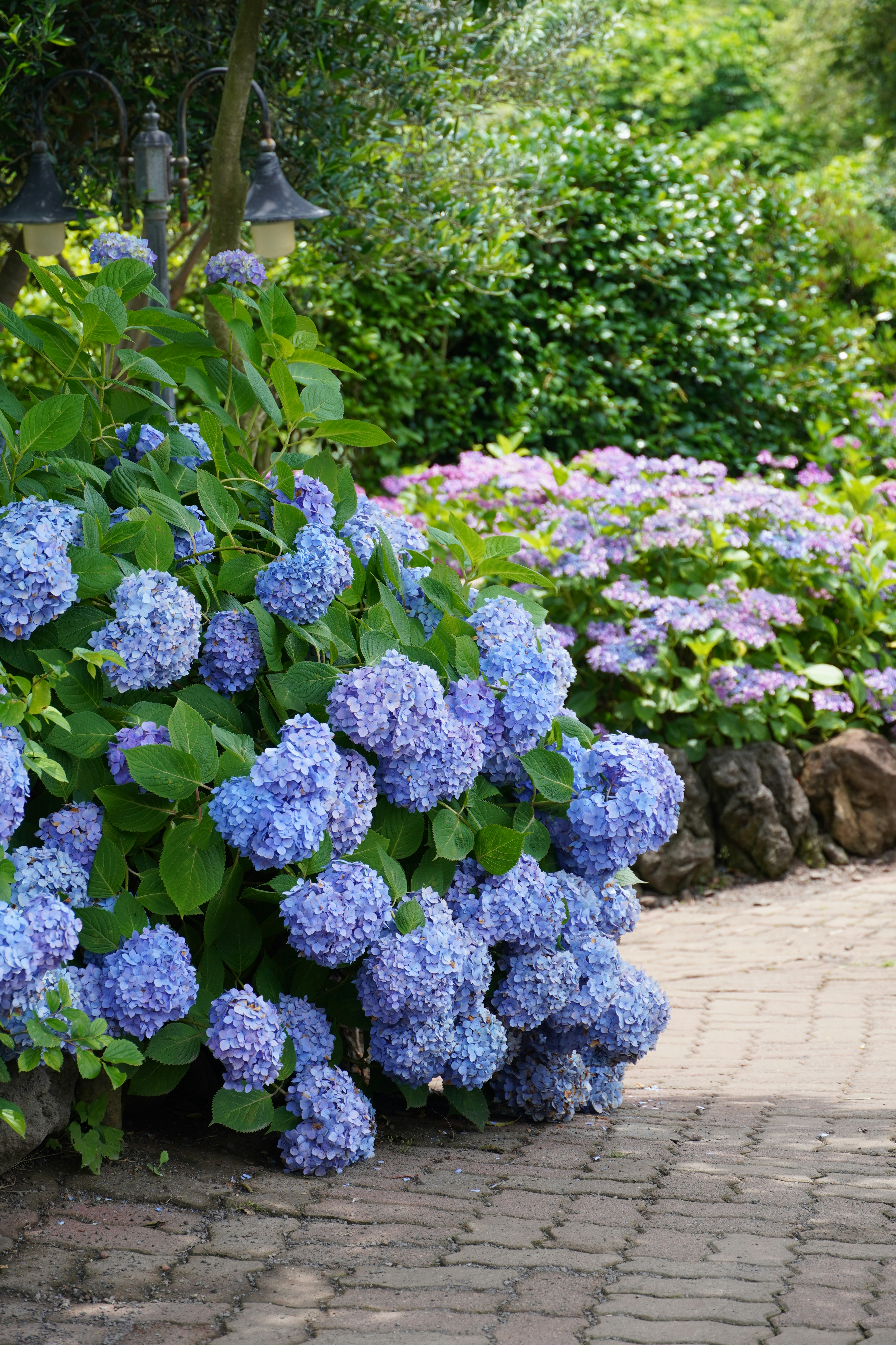 Photo by lifeinkorea